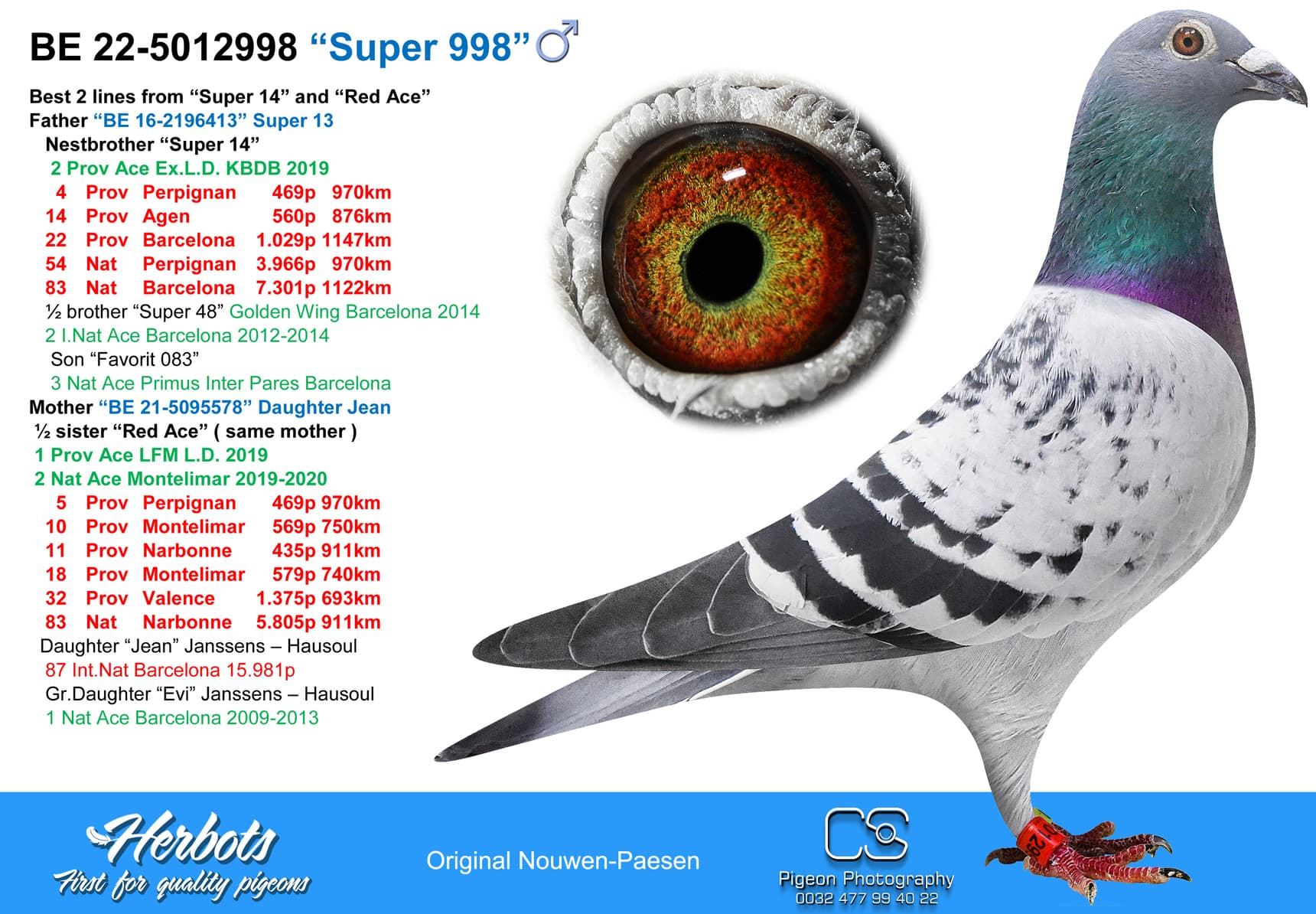 pigeon: “Super 998”
