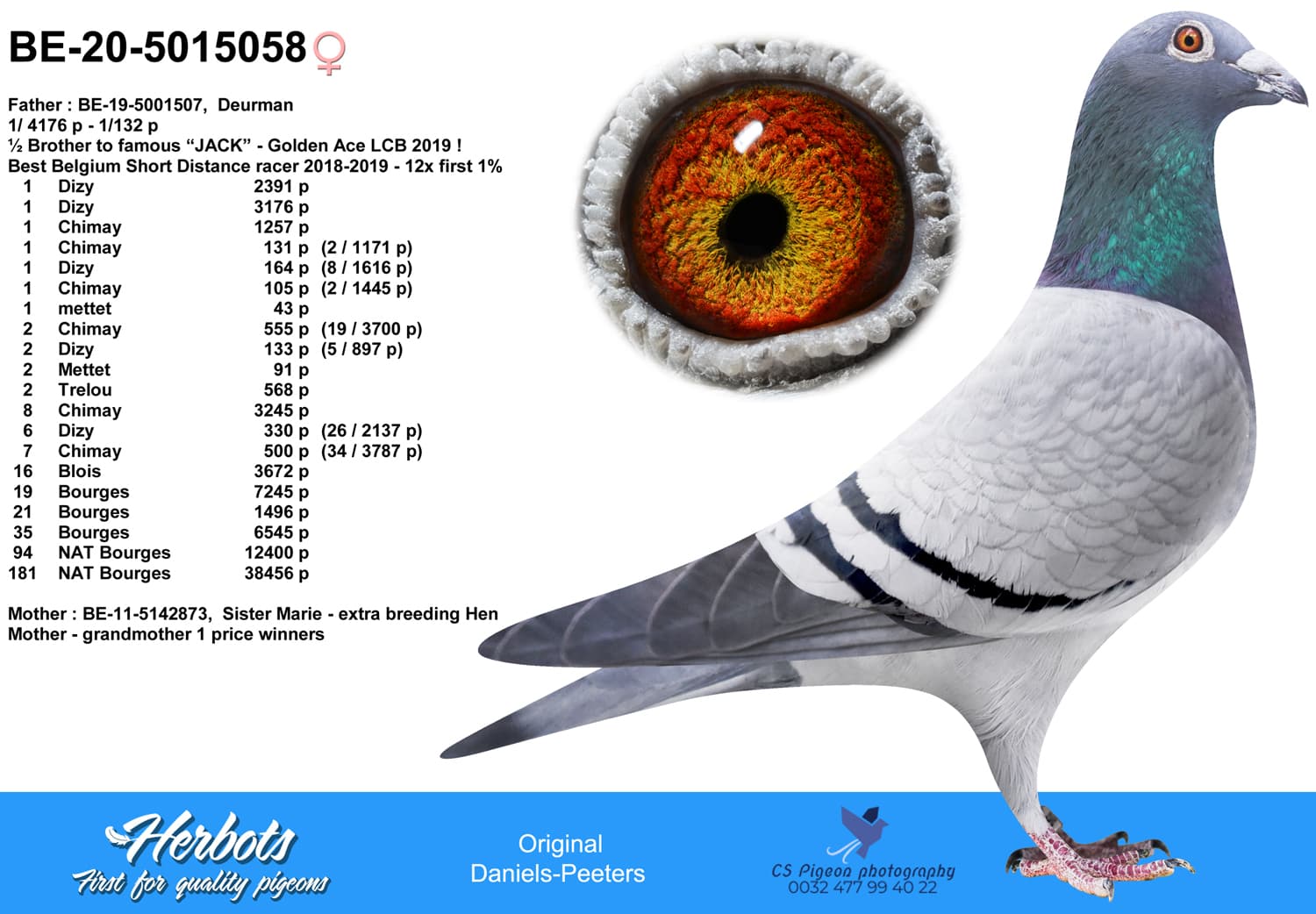 pigeon: undefined