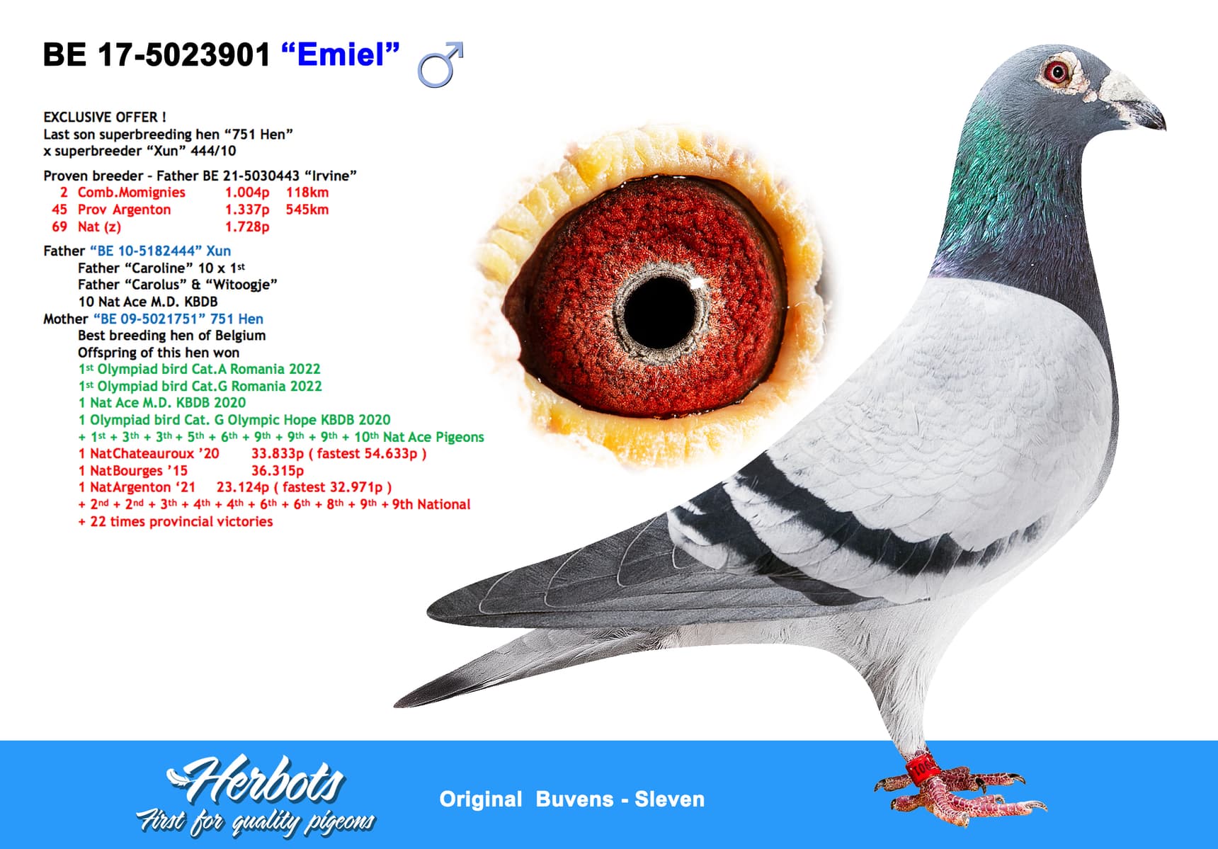 pigeon: undefined