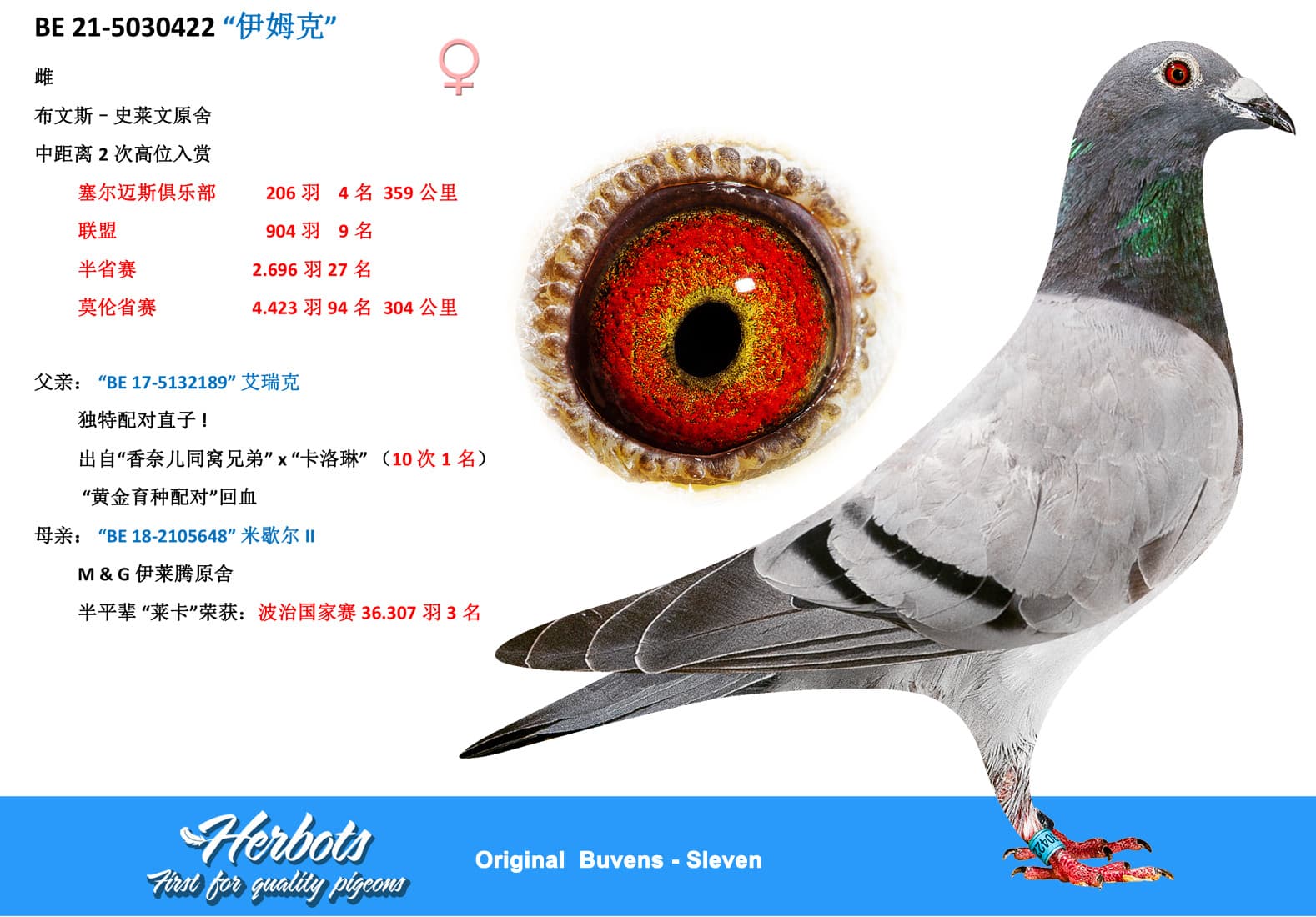 pigeon: undefined