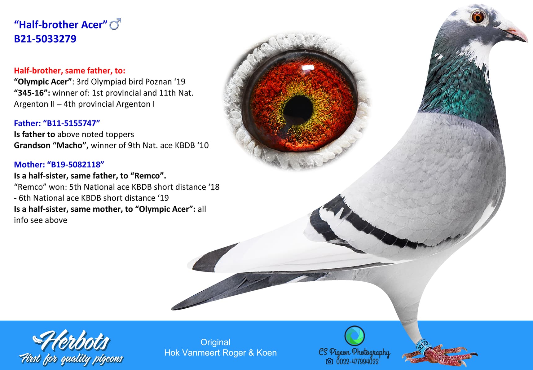 pigeon: undefined