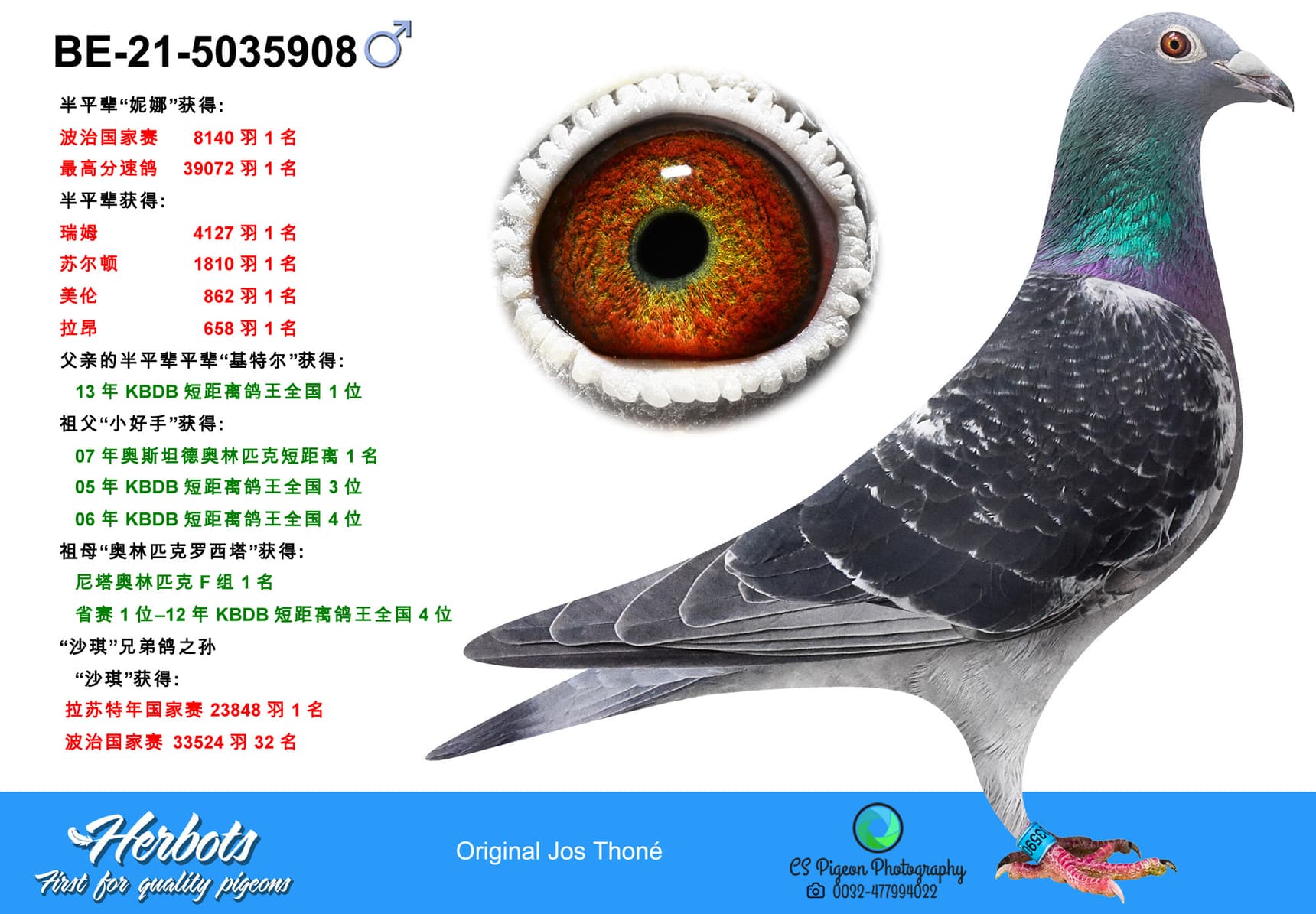 pigeon: undefined