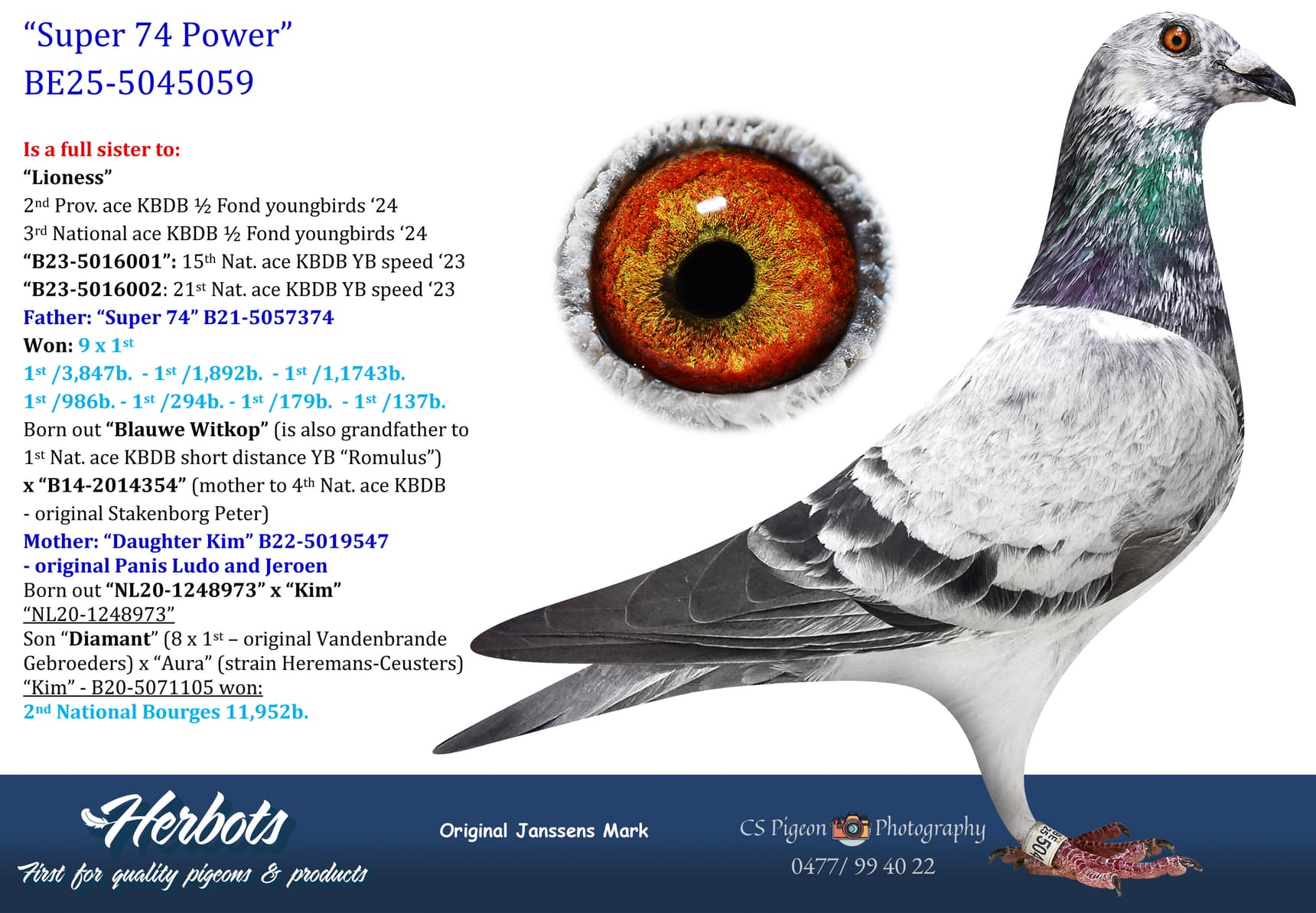 pigeon: undefined