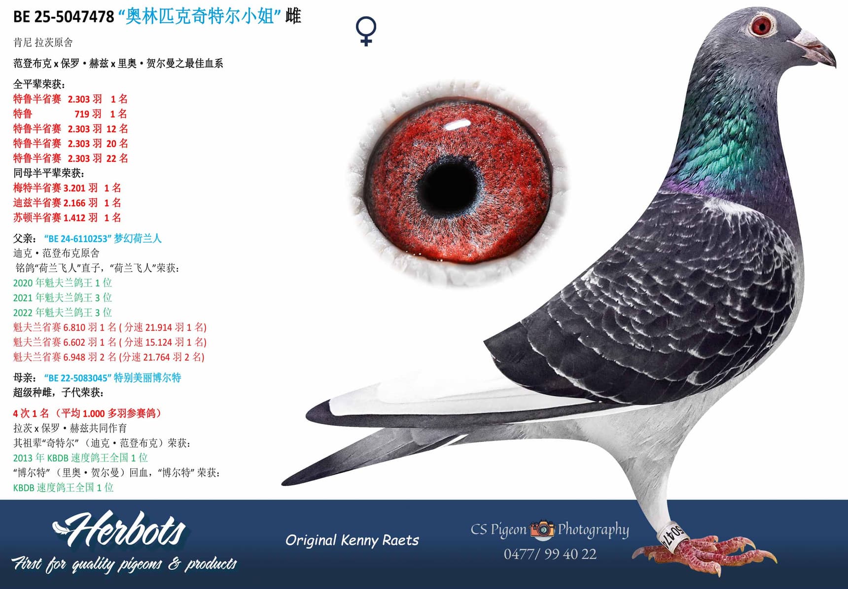 pigeon: “奥林匹克奇特尔小姐”