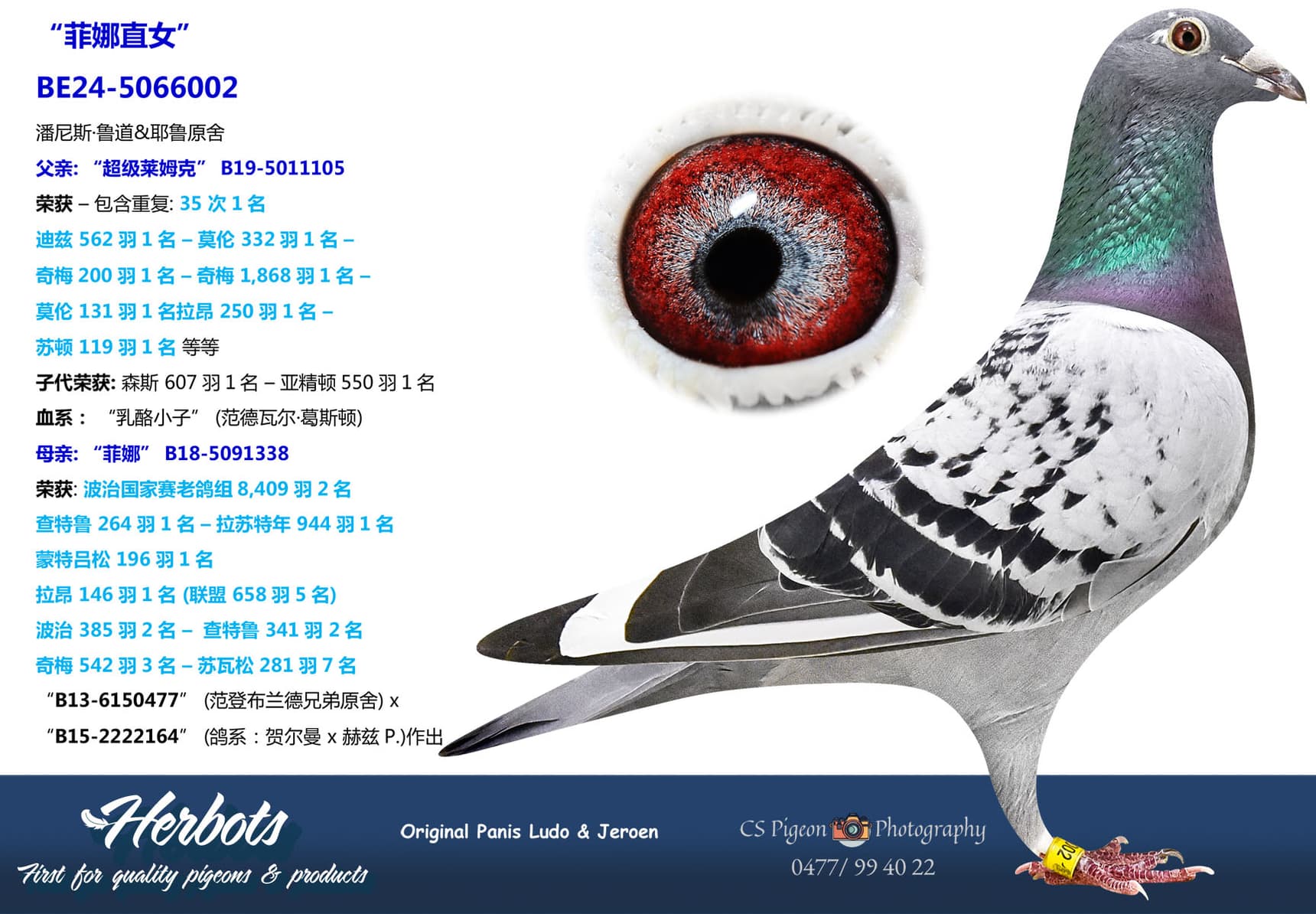 pigeon: undefined