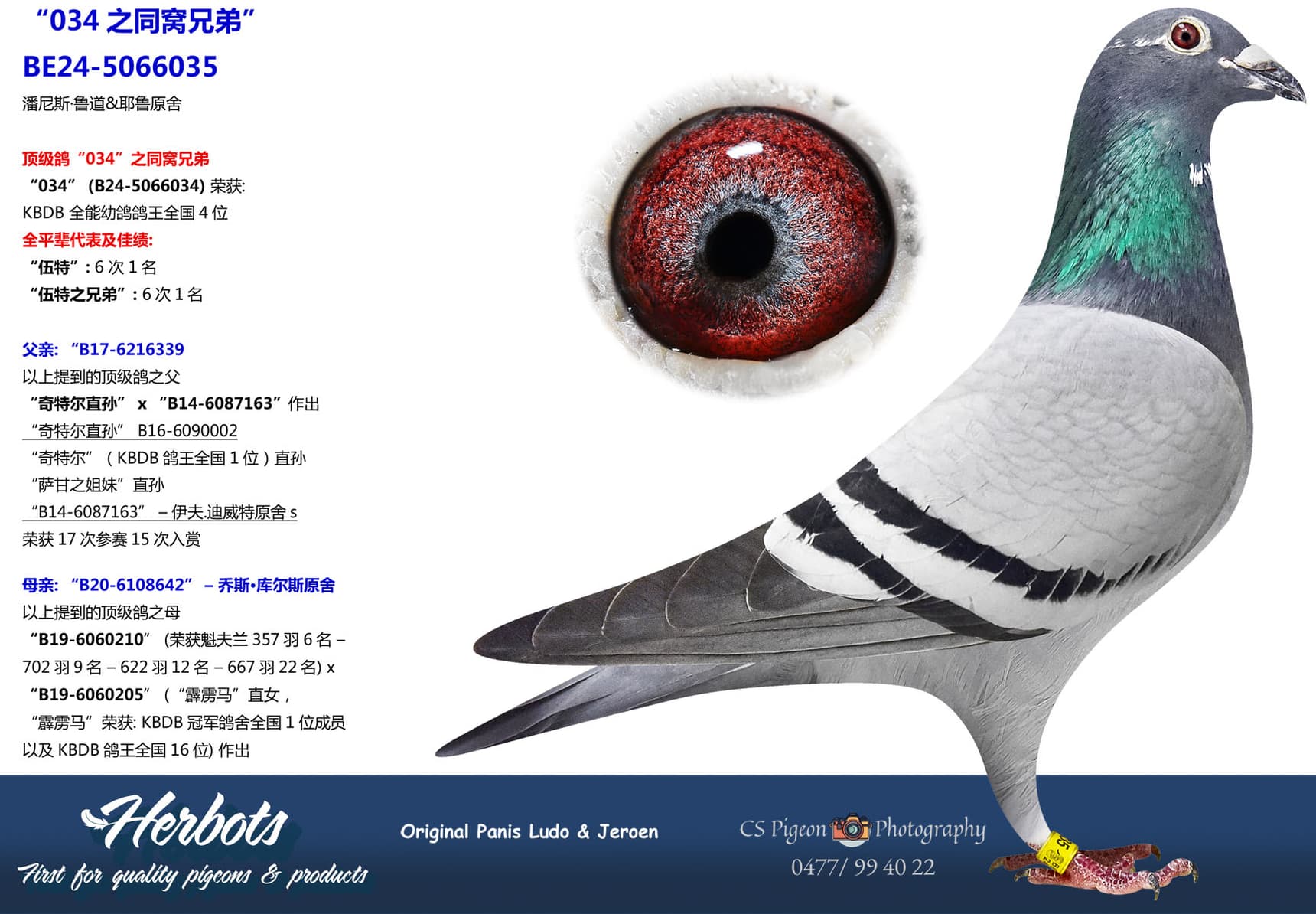 pigeon: undefined