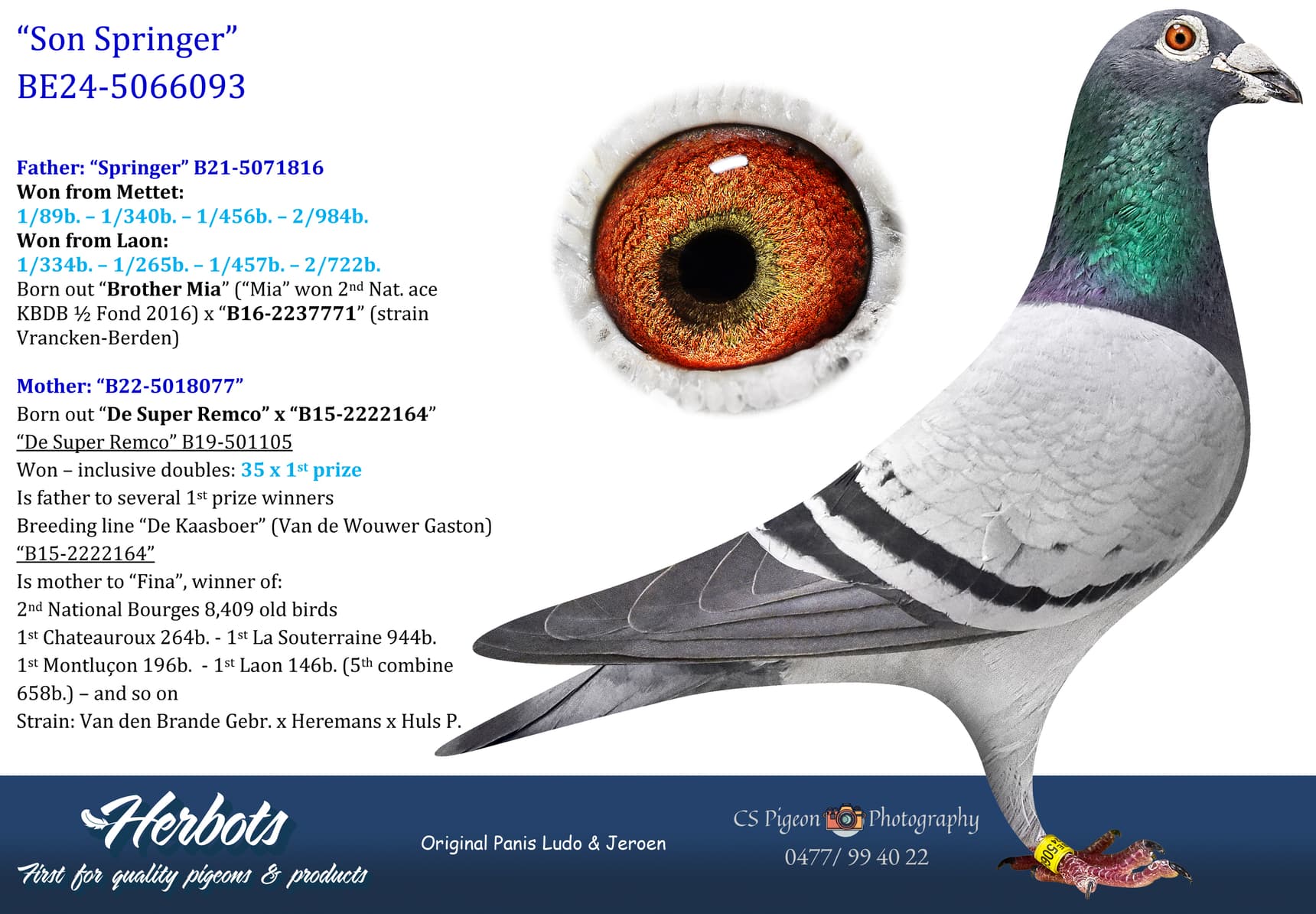 pigeon: undefined