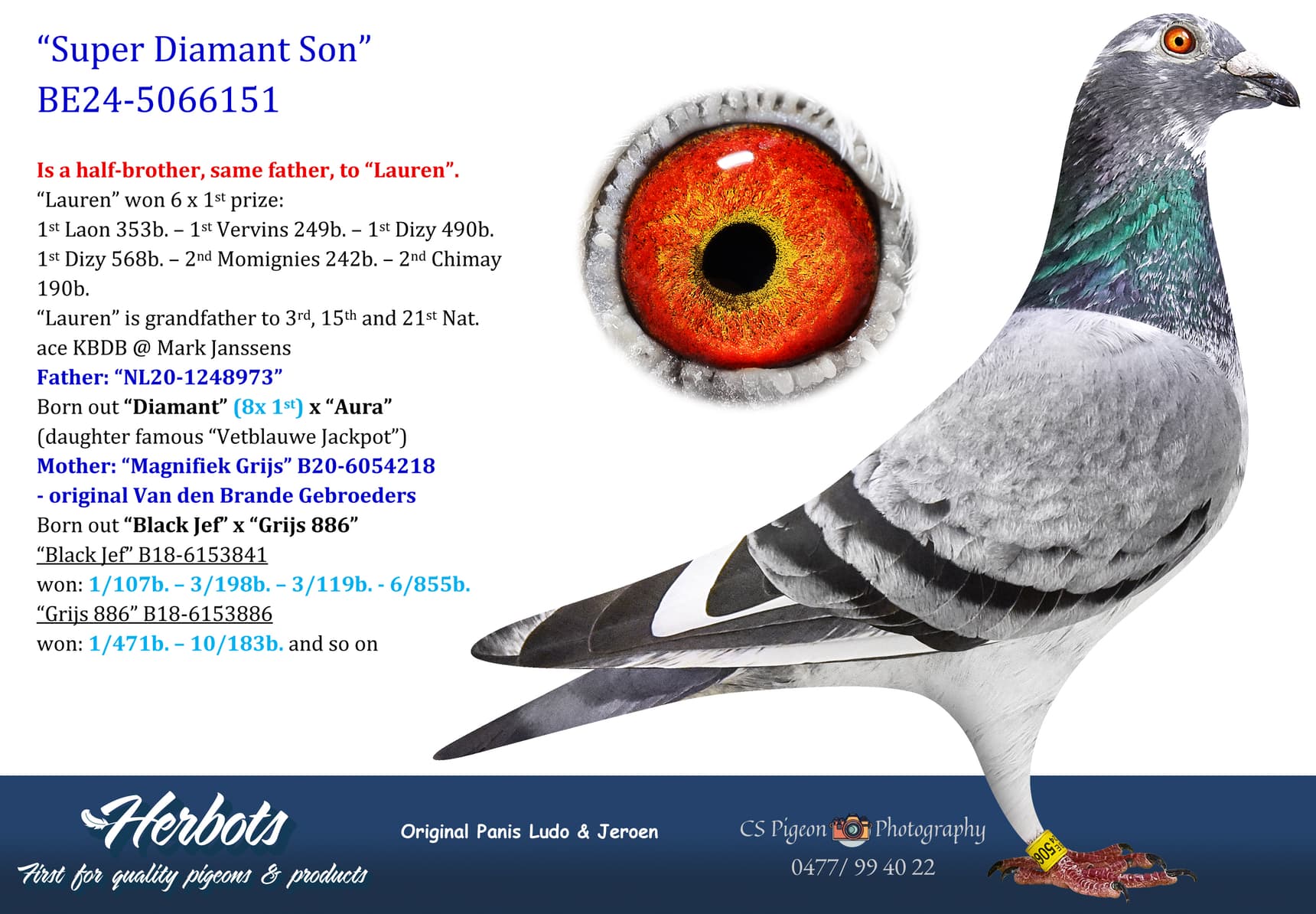 pigeon: undefined