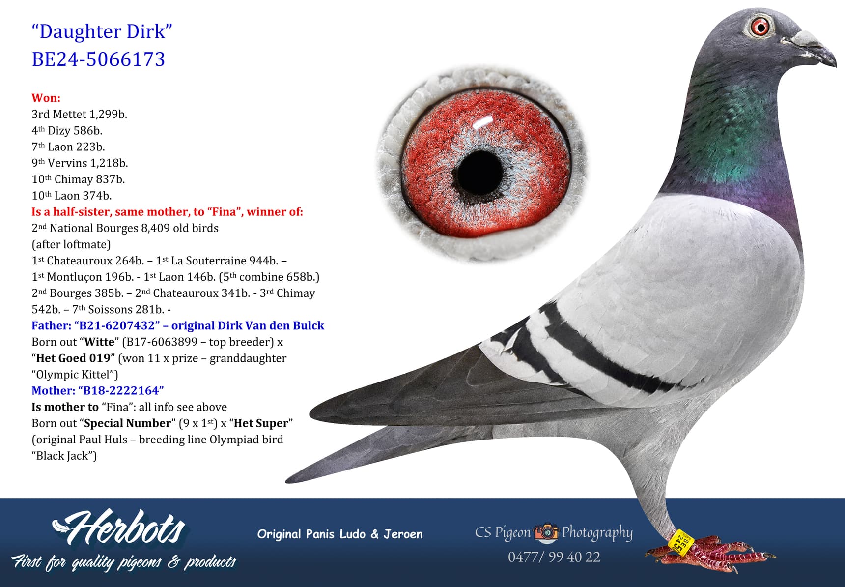 pigeon: undefined