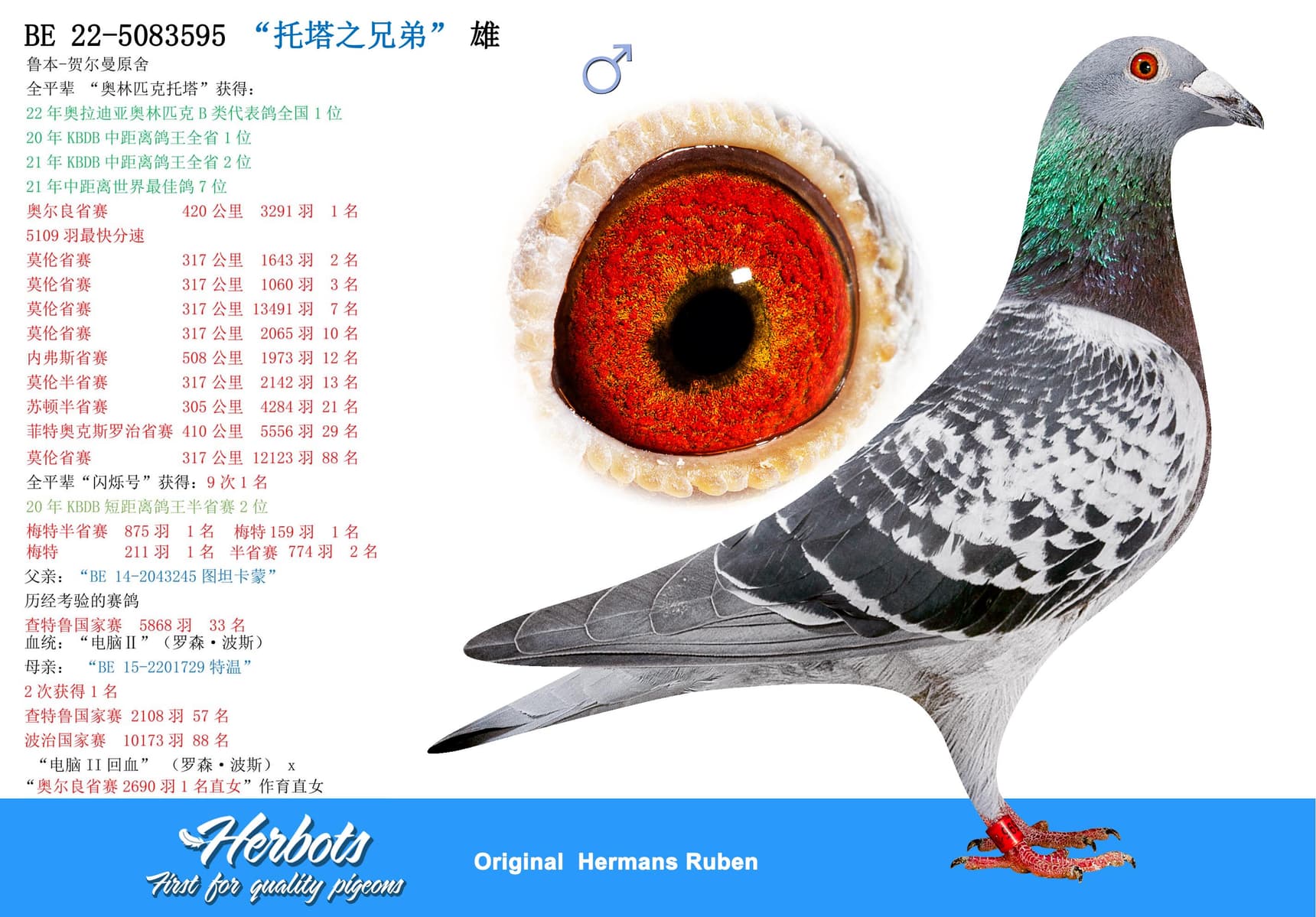 pigeon: “托塔之兄弟”