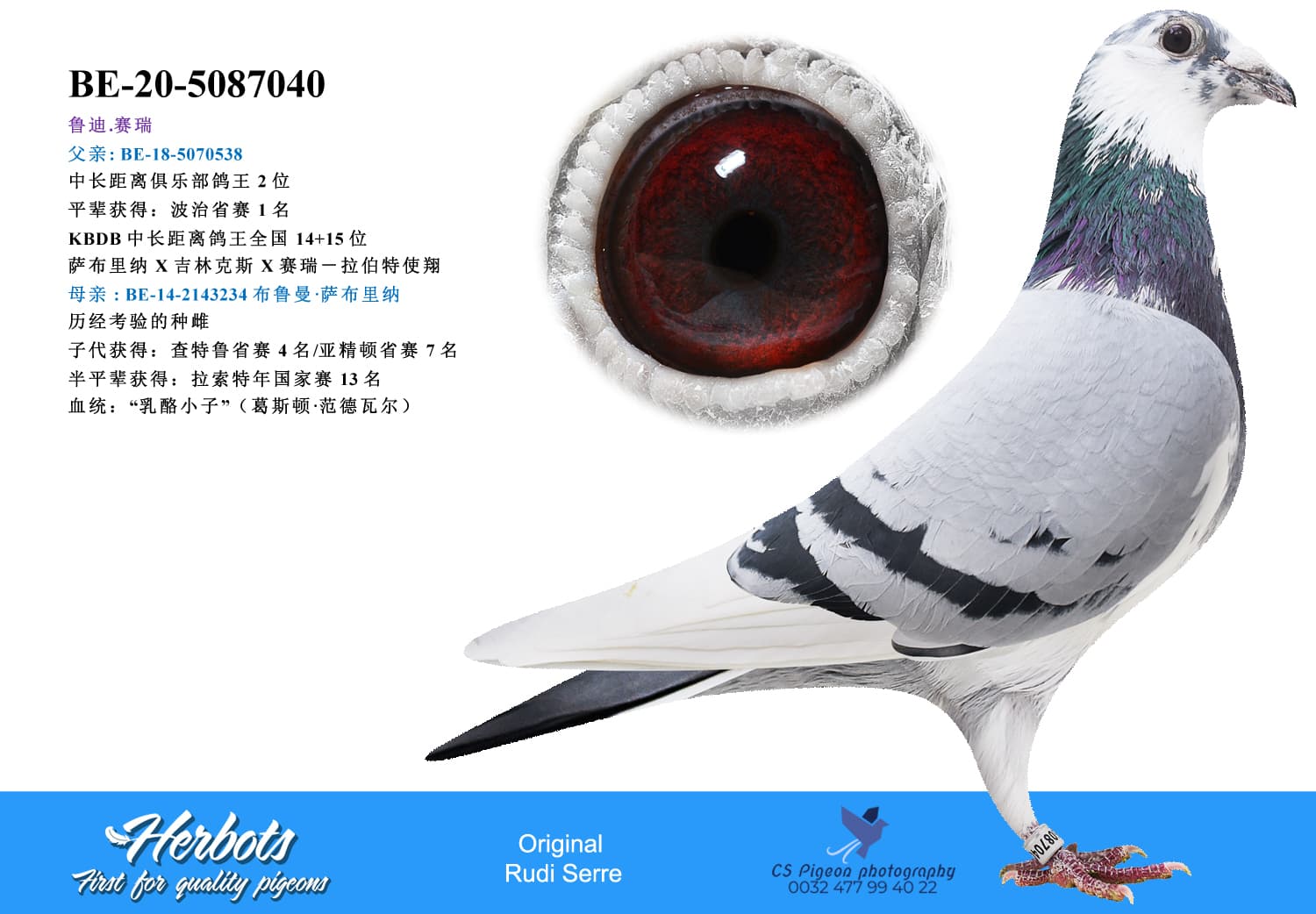 pigeon: undefined