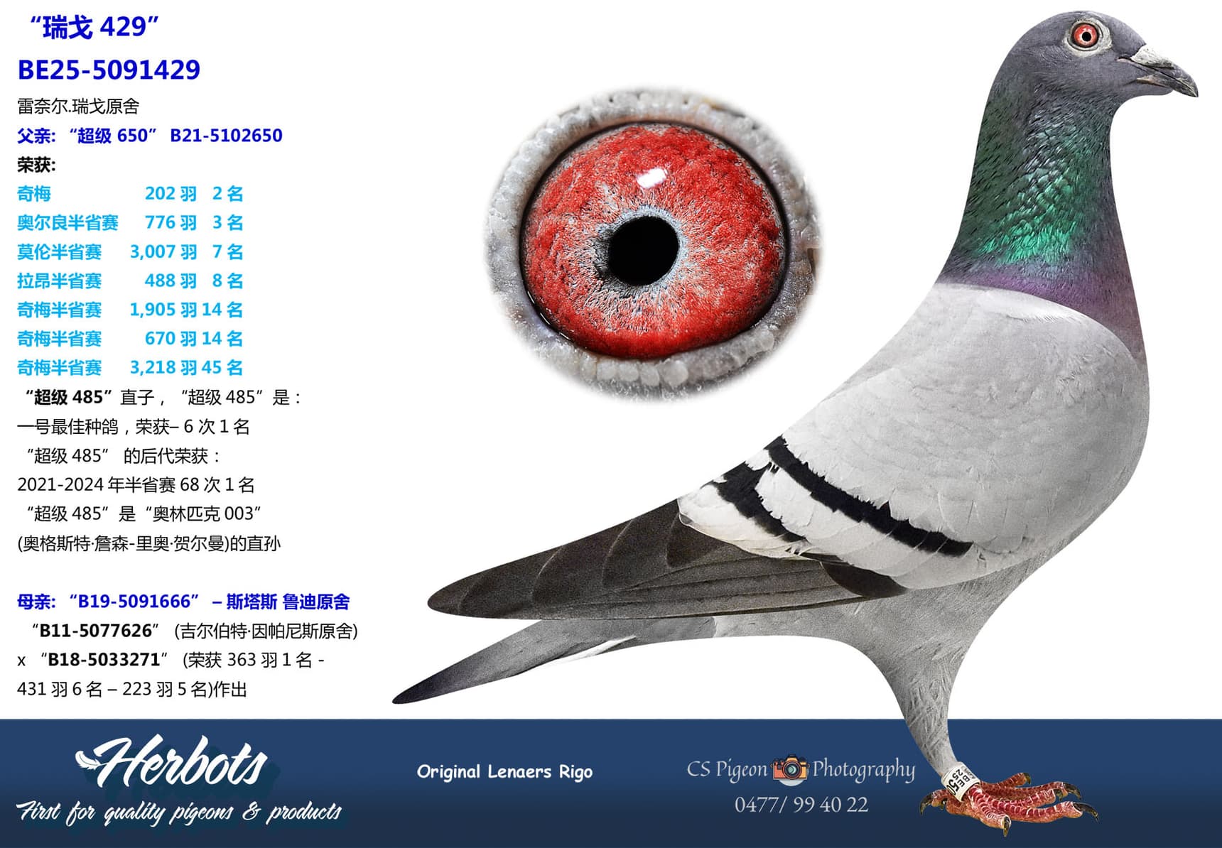 pigeon: undefined