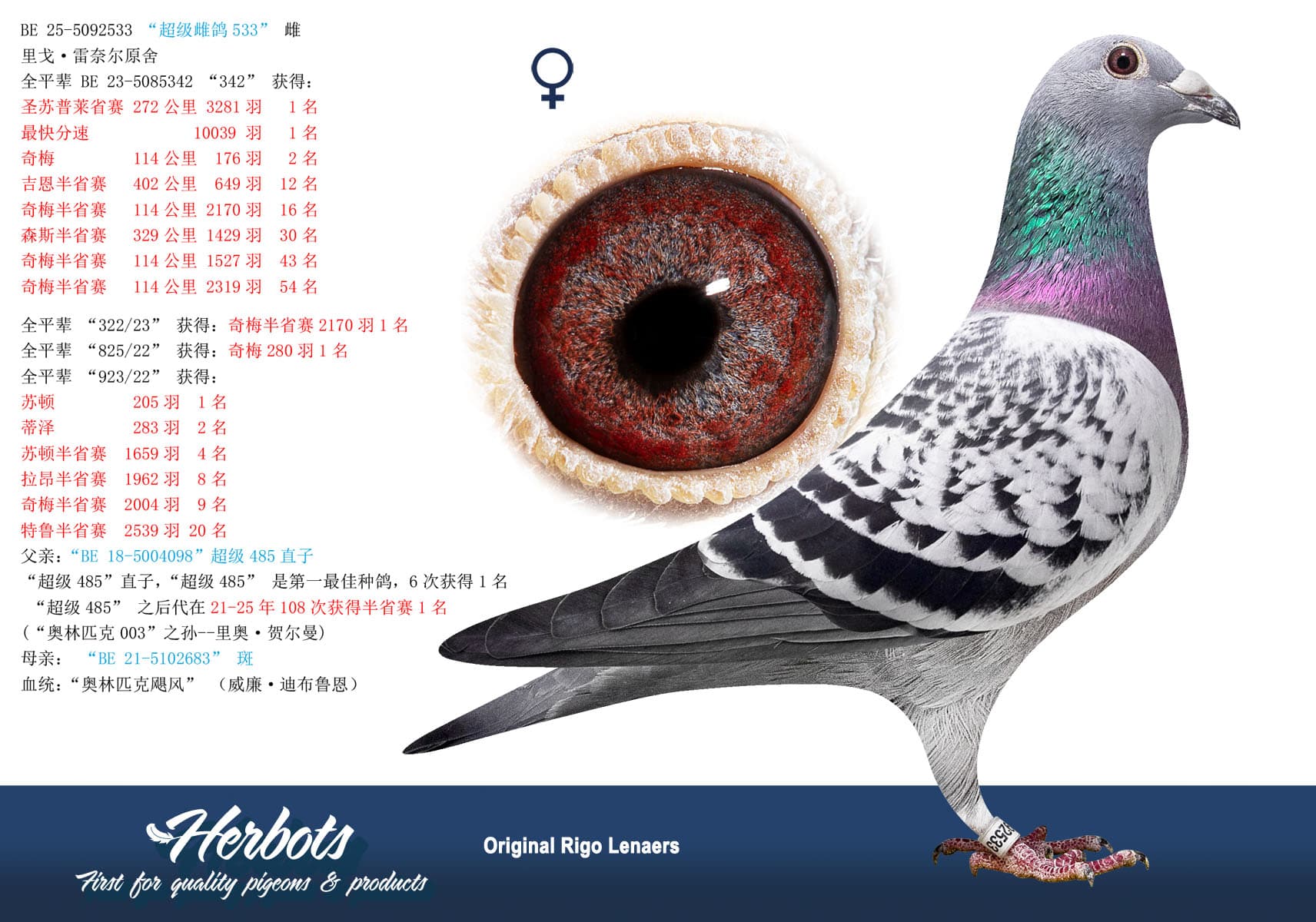 pigeon: undefined
