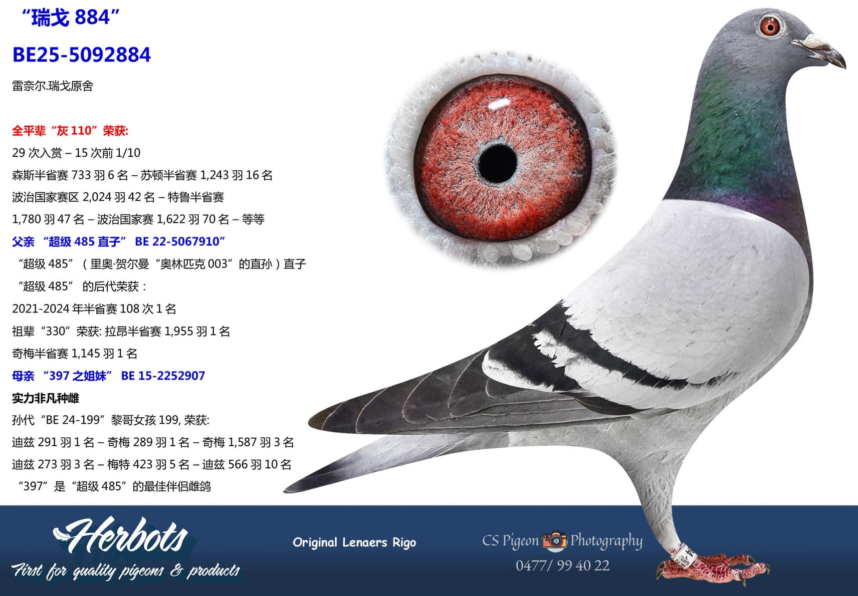pigeon: undefined