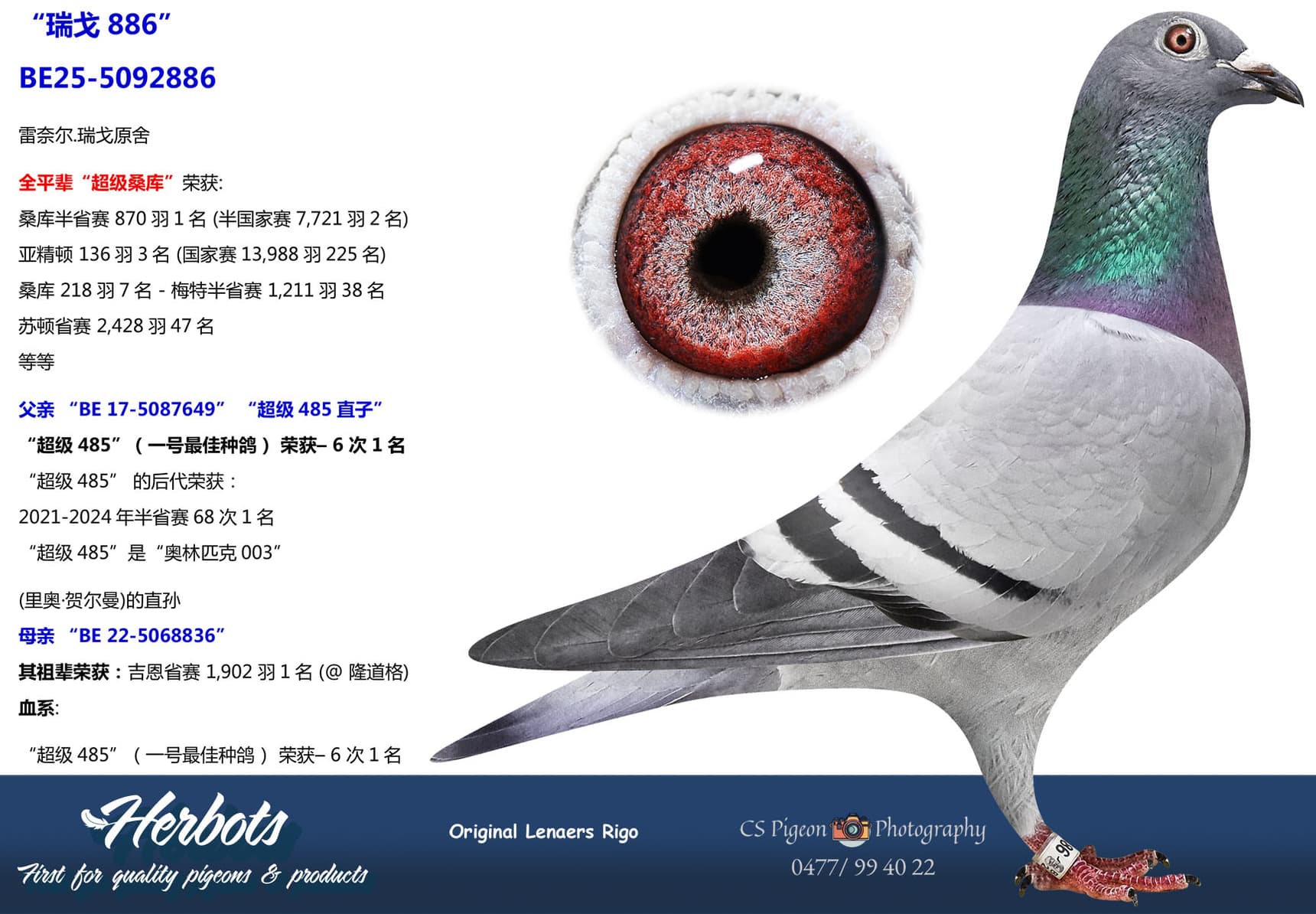 pigeon: undefined