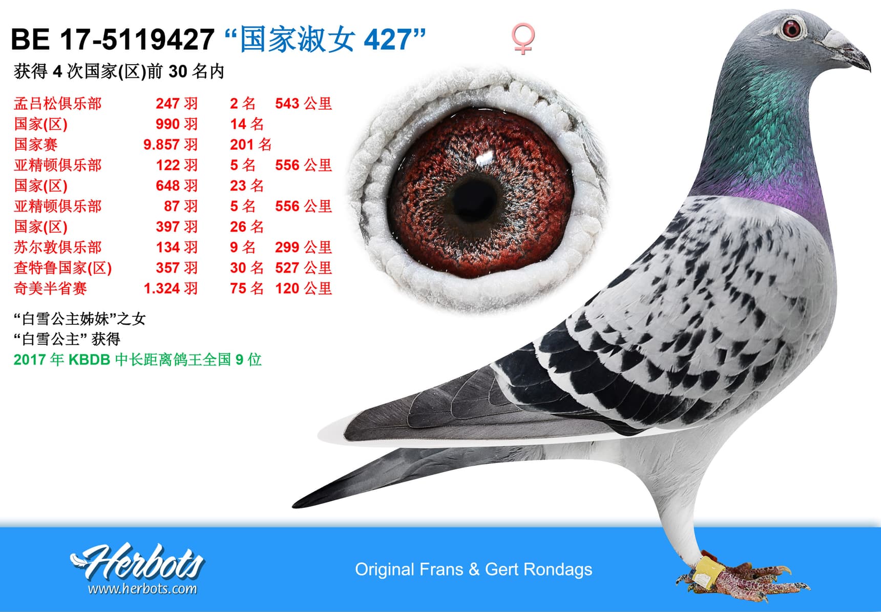 pigeon: undefined
