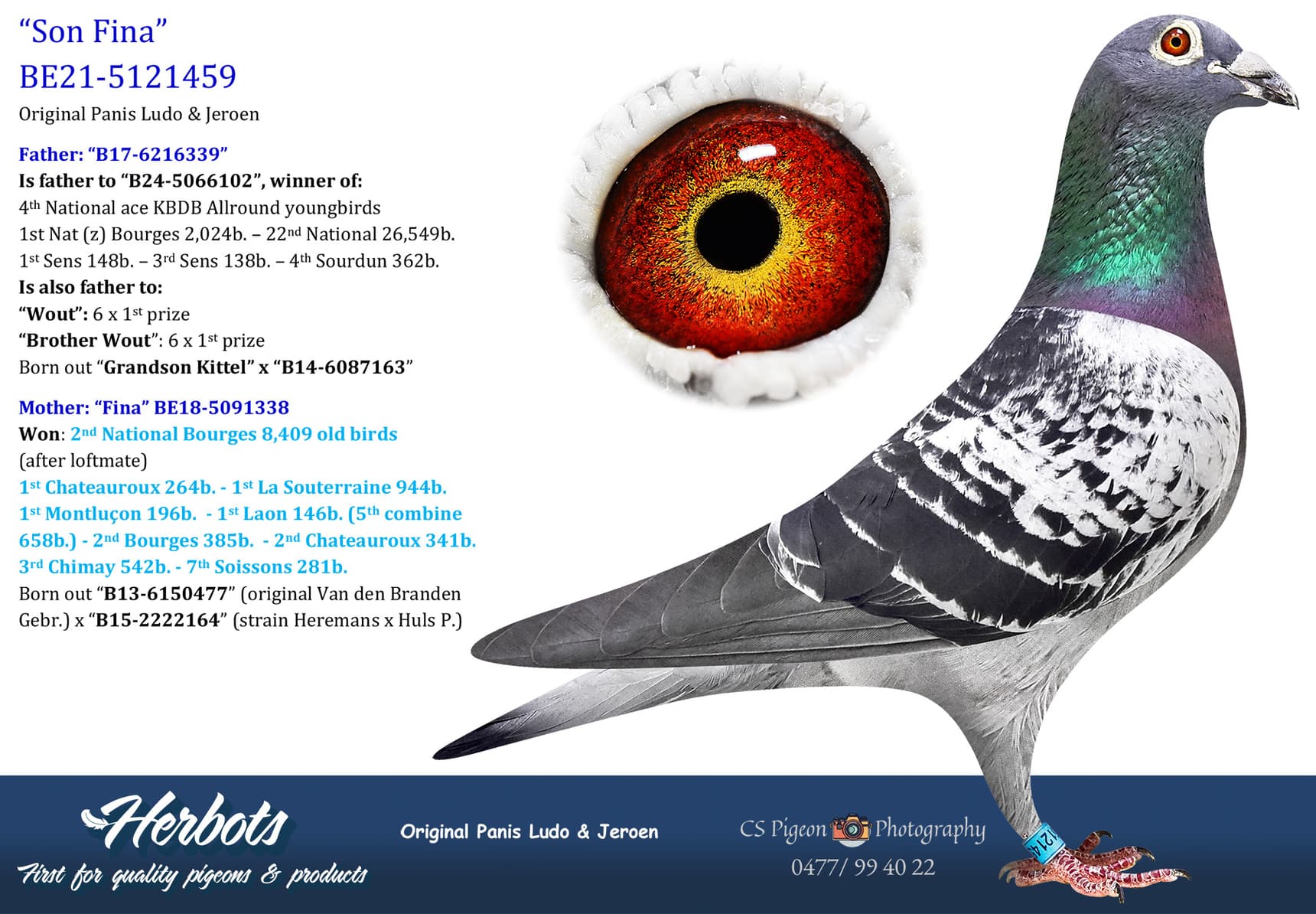 pigeon: undefined