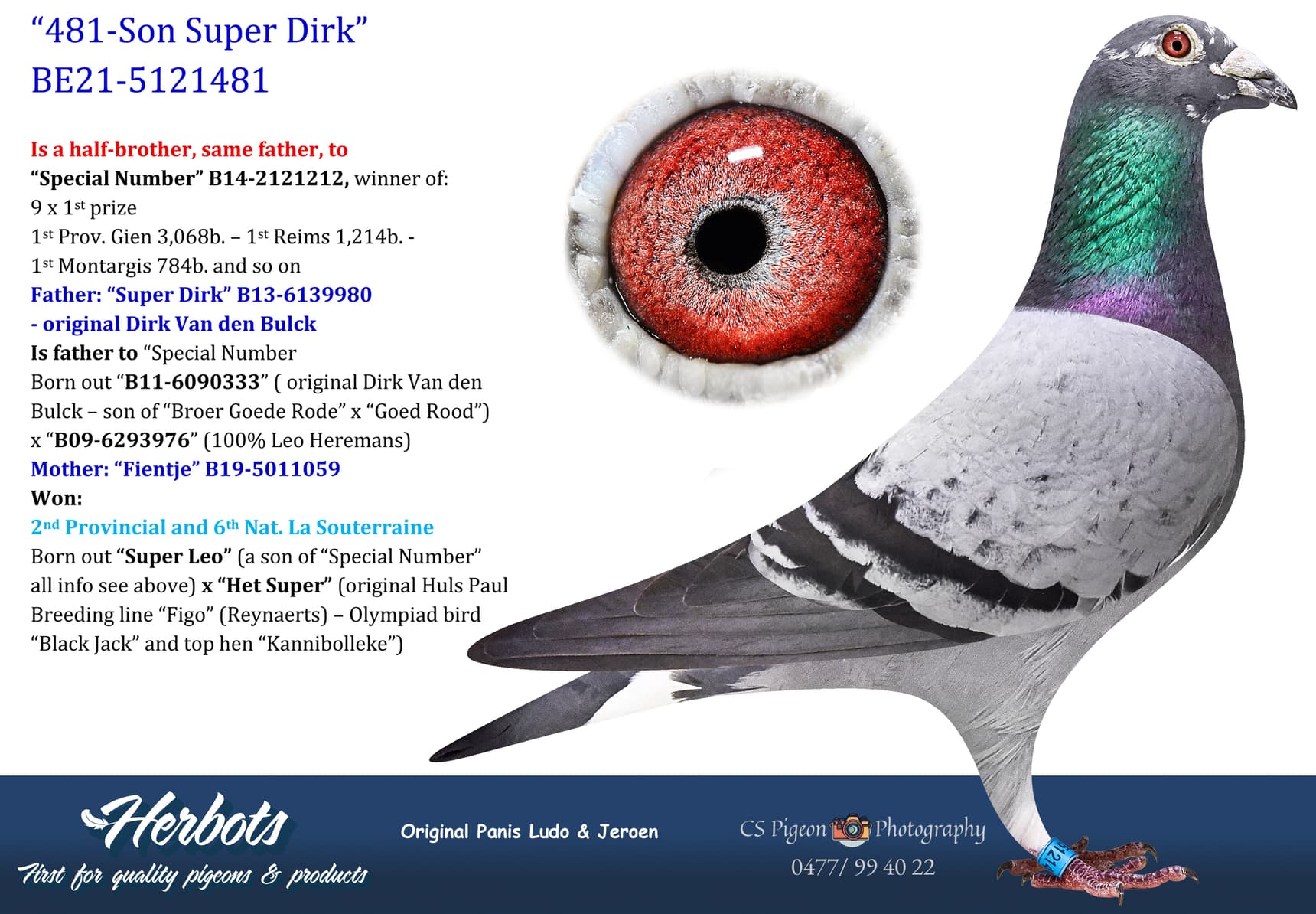 pigeon: undefined
