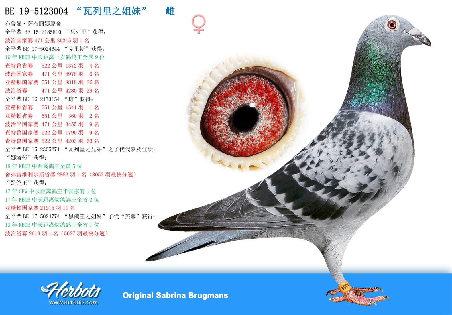 pigeon: “瓦列里之姐妹”