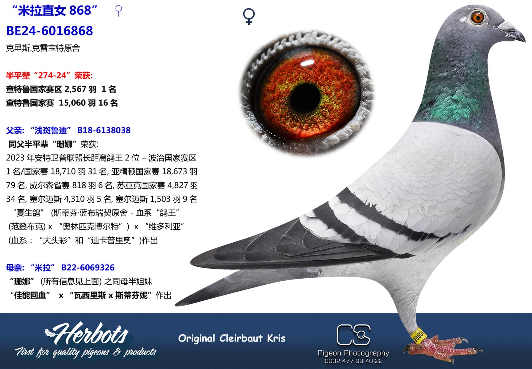 pigeon: undefined