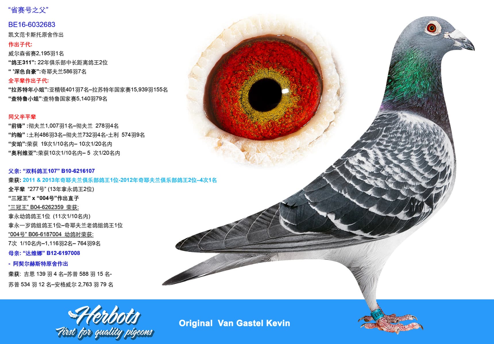 pigeon: undefined