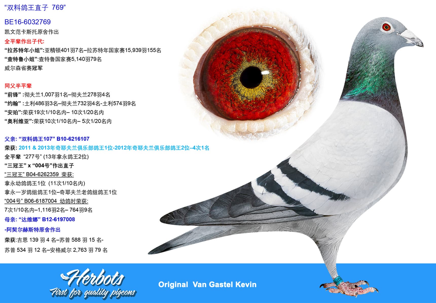 pigeon: undefined