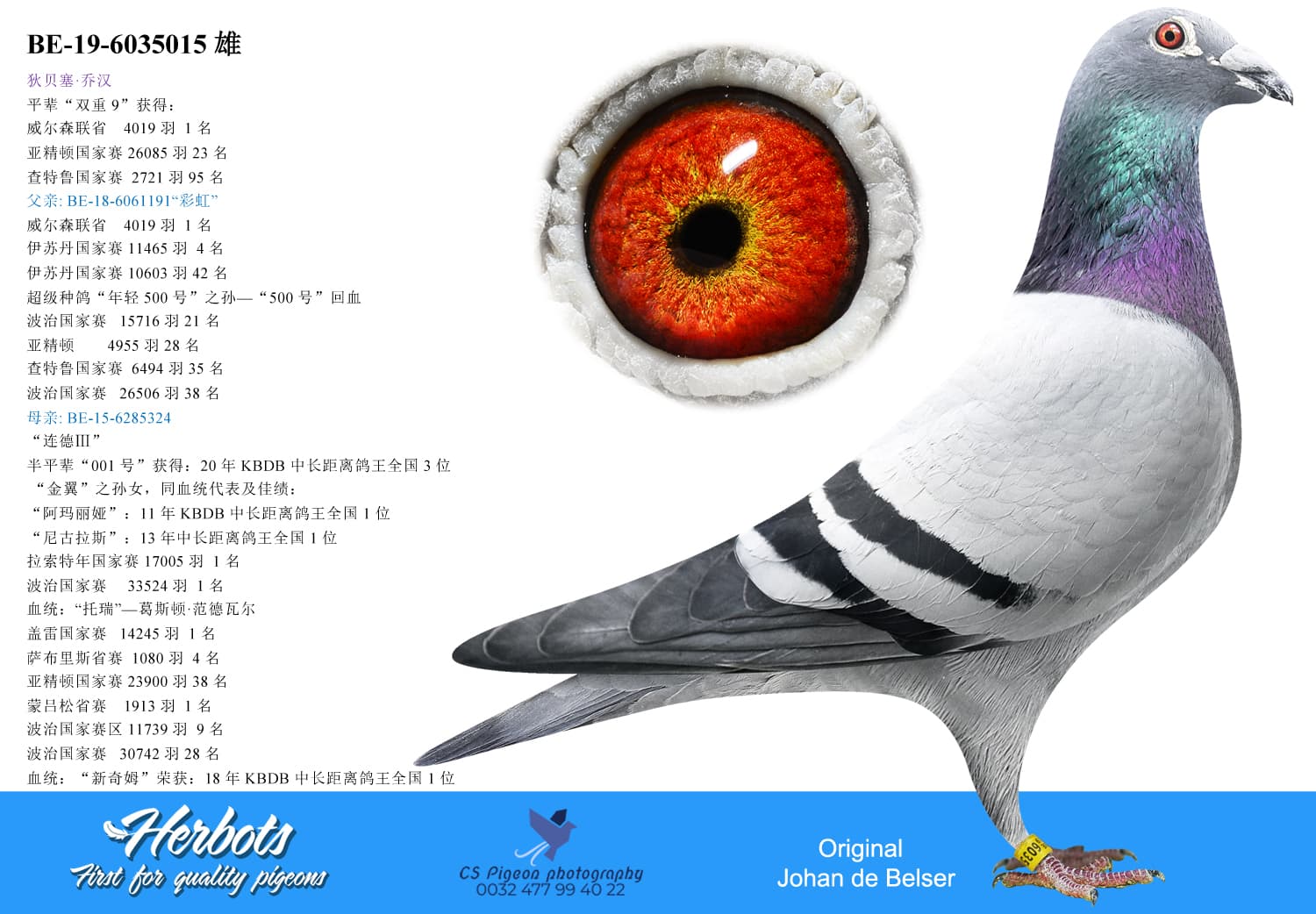 pigeon: undefined