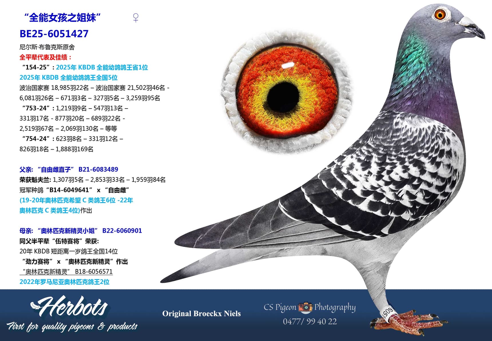 pigeon: “全能女孩之姐妹”