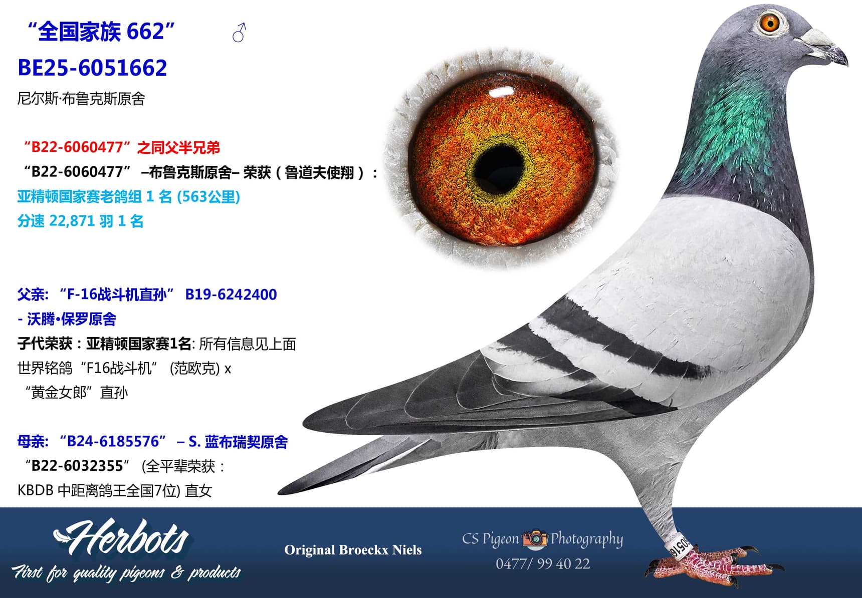 pigeon: undefined
