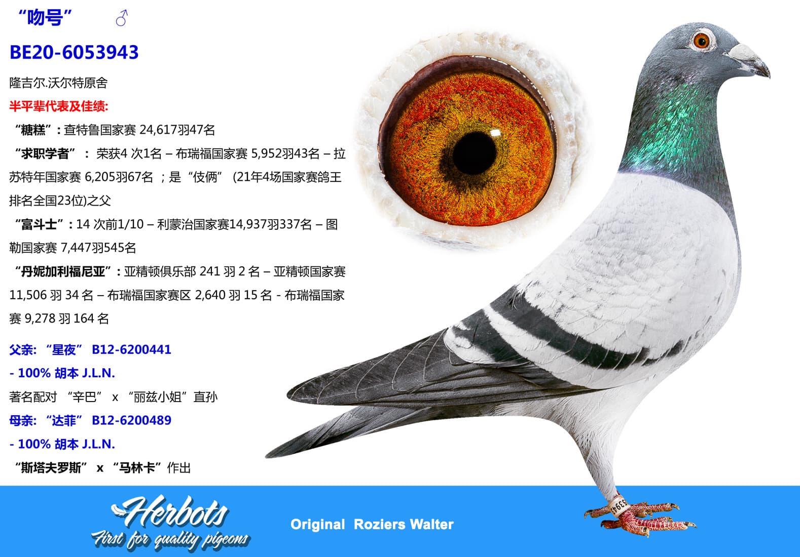 pigeon: undefined