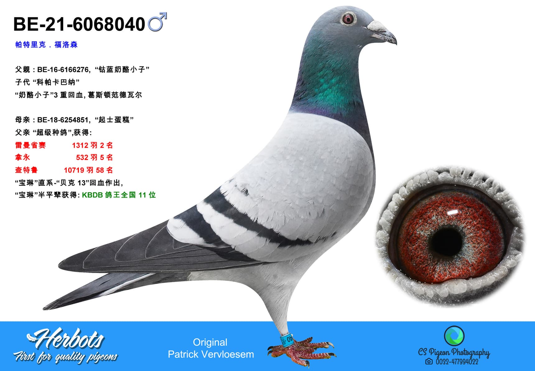 pigeon: undefined