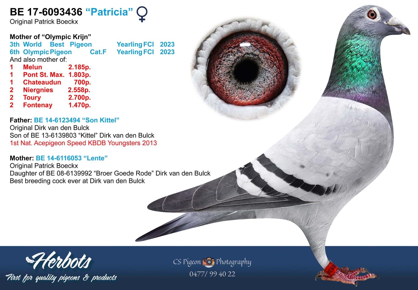 pigeon: undefined