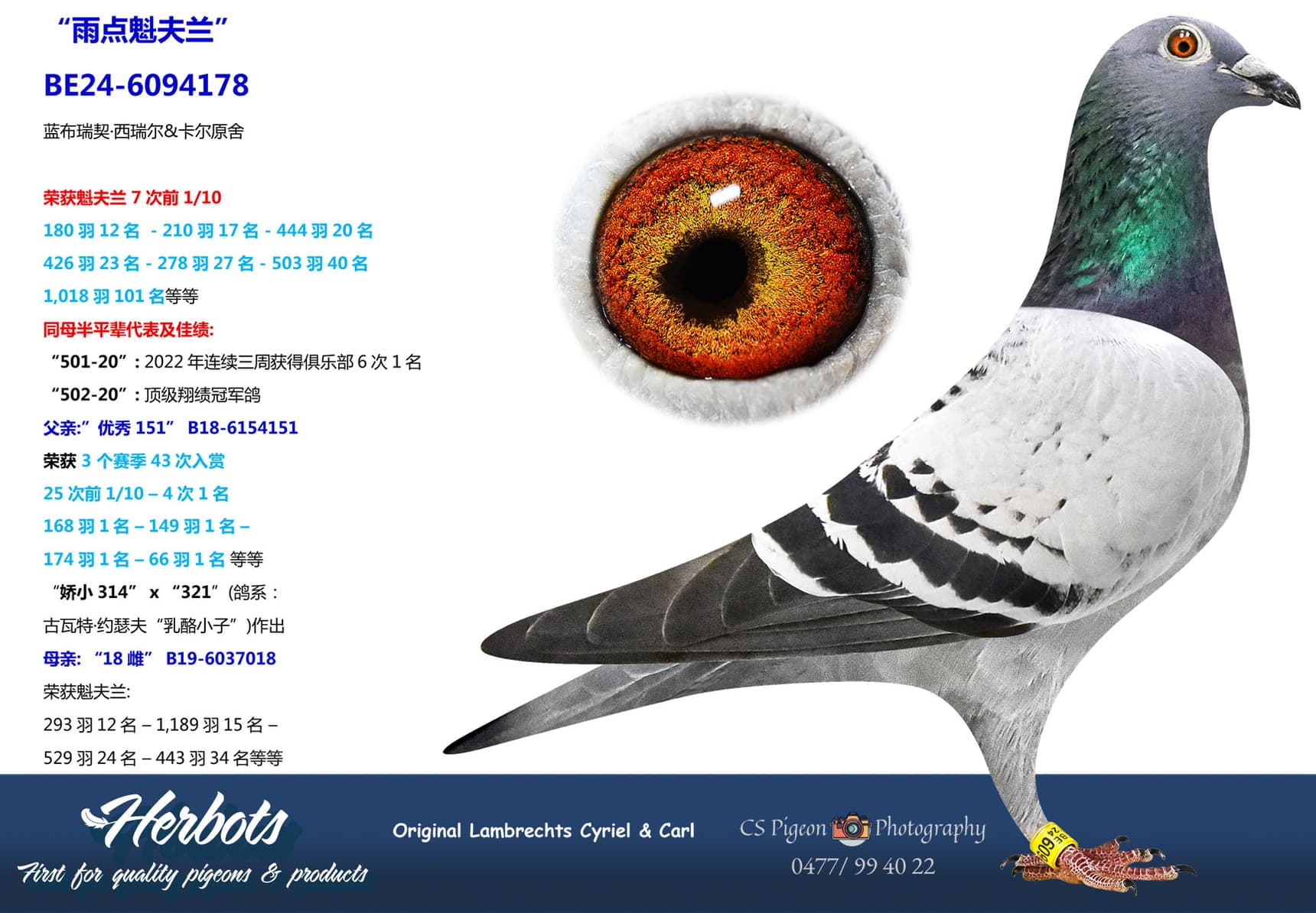 pigeon: undefined