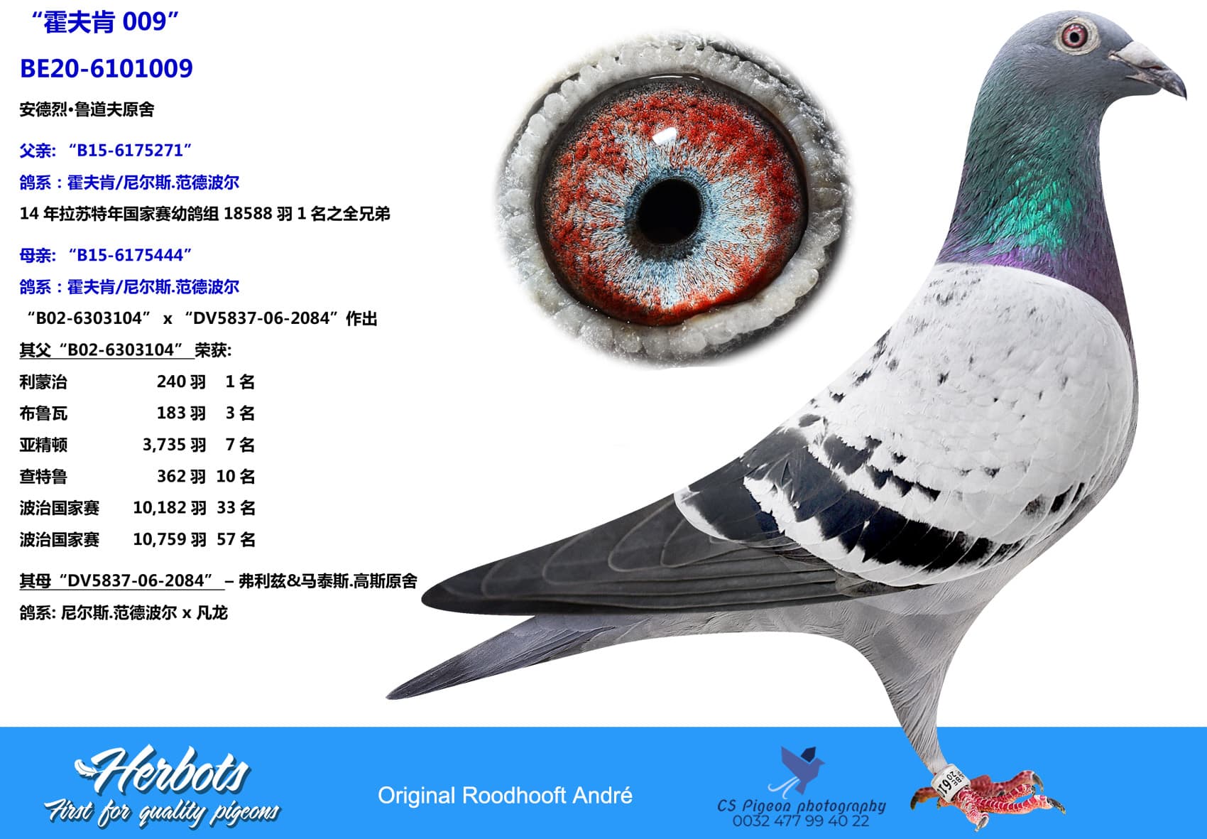 pigeon: “霍夫肯 0039