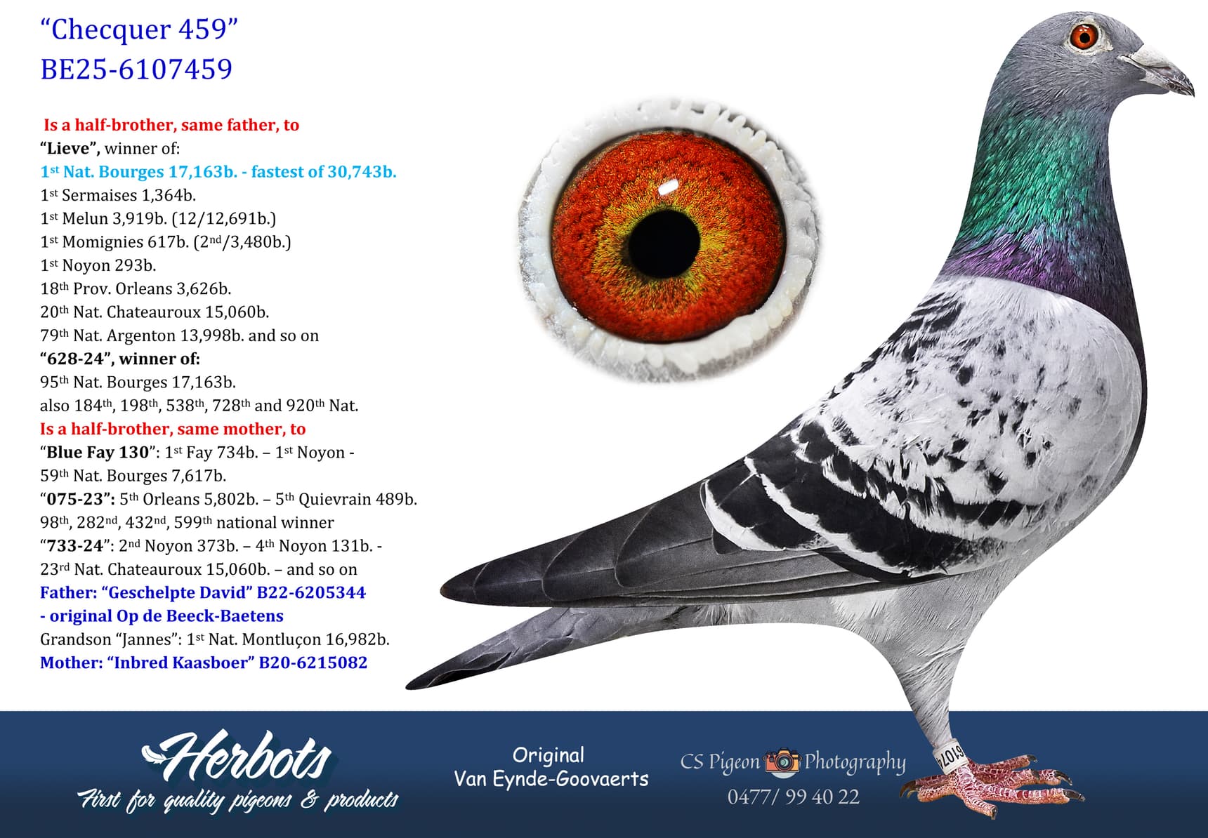 pigeon: undefined
