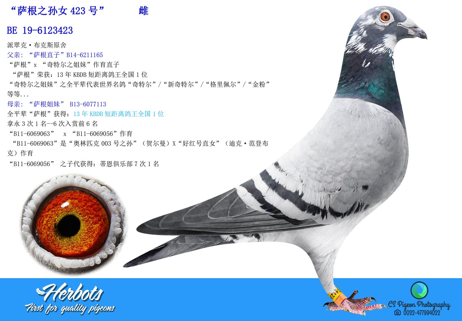pigeon: undefined