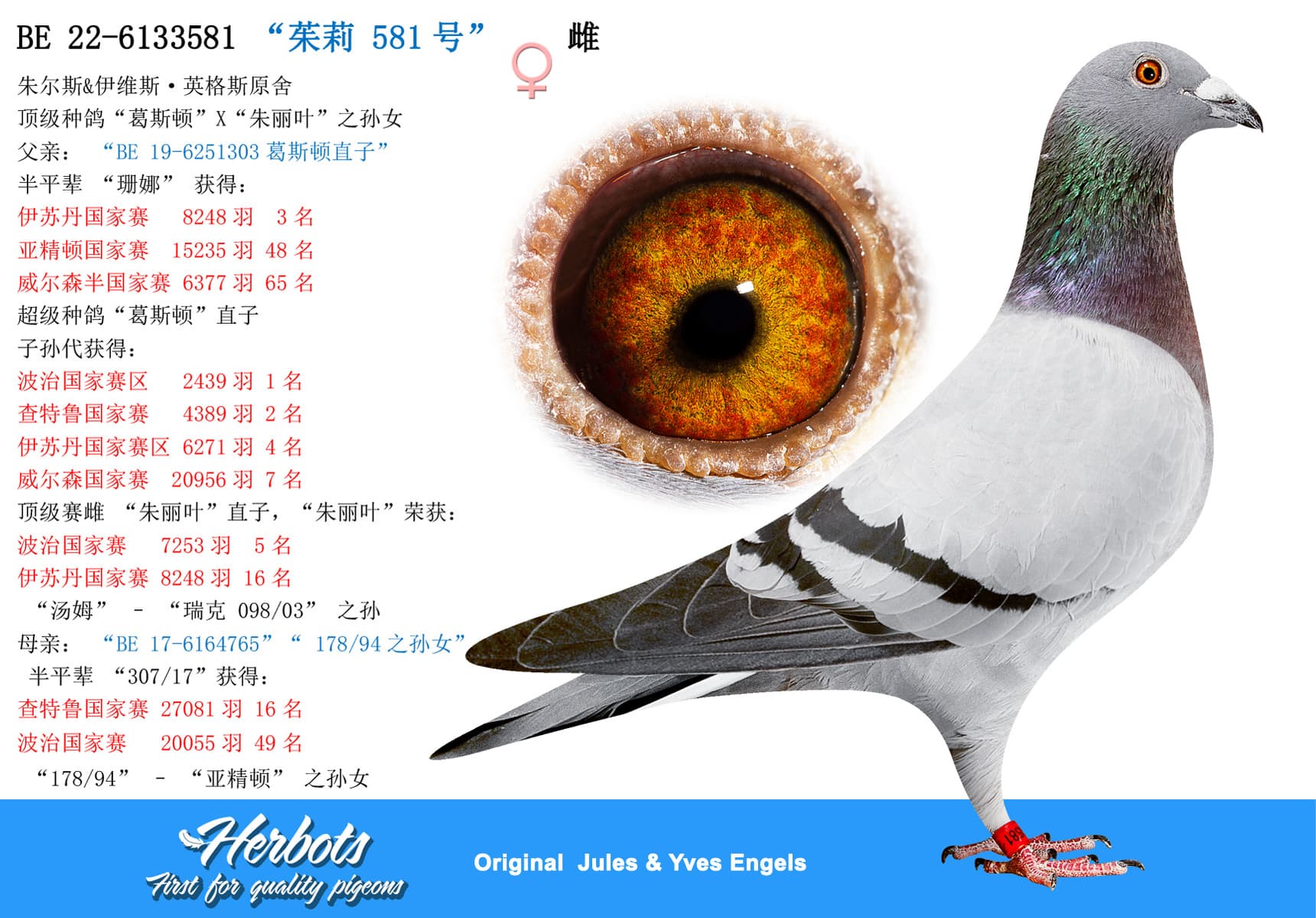pigeon: undefined