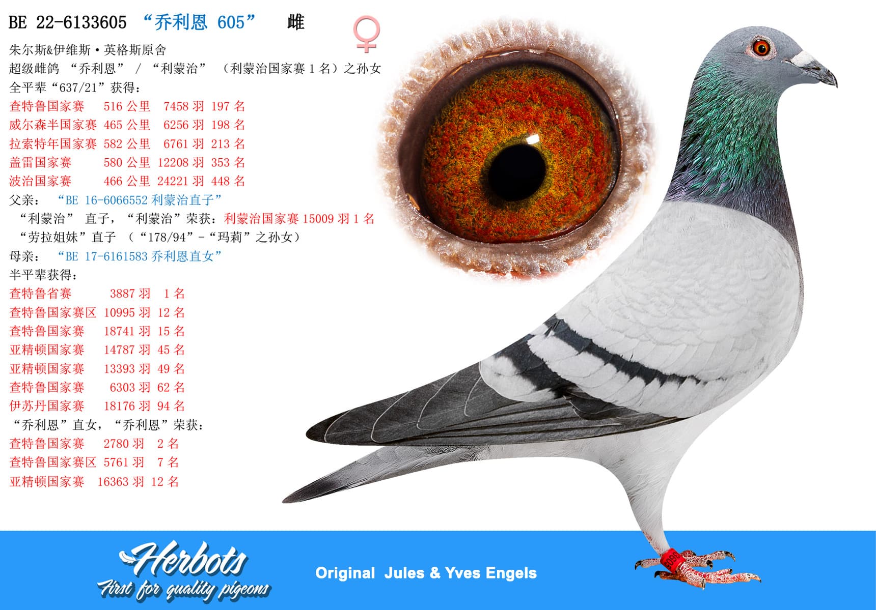 pigeon: undefined