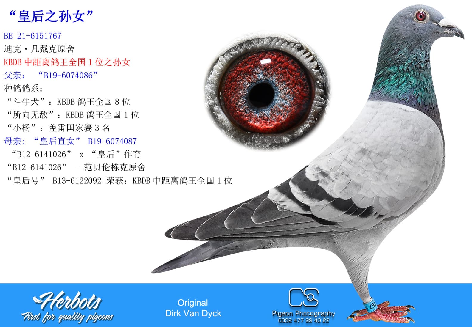 pigeon: “皇后之孙女”