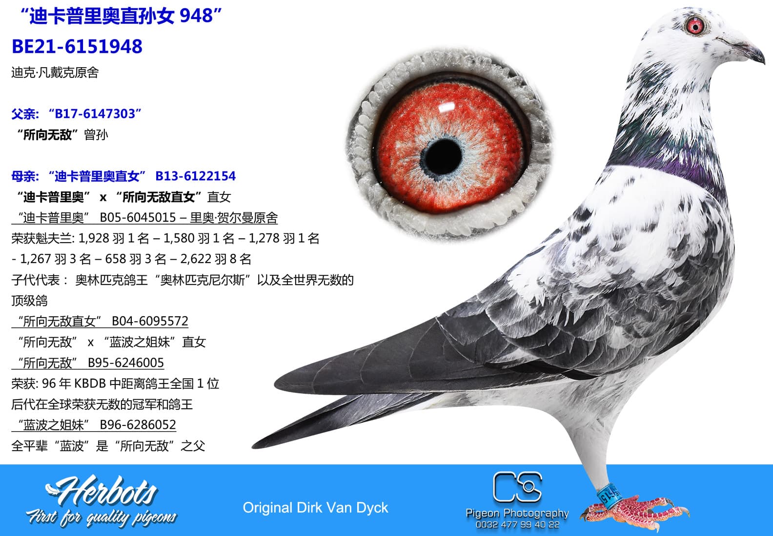 pigeon: “迪卡普里奥直孙女948”