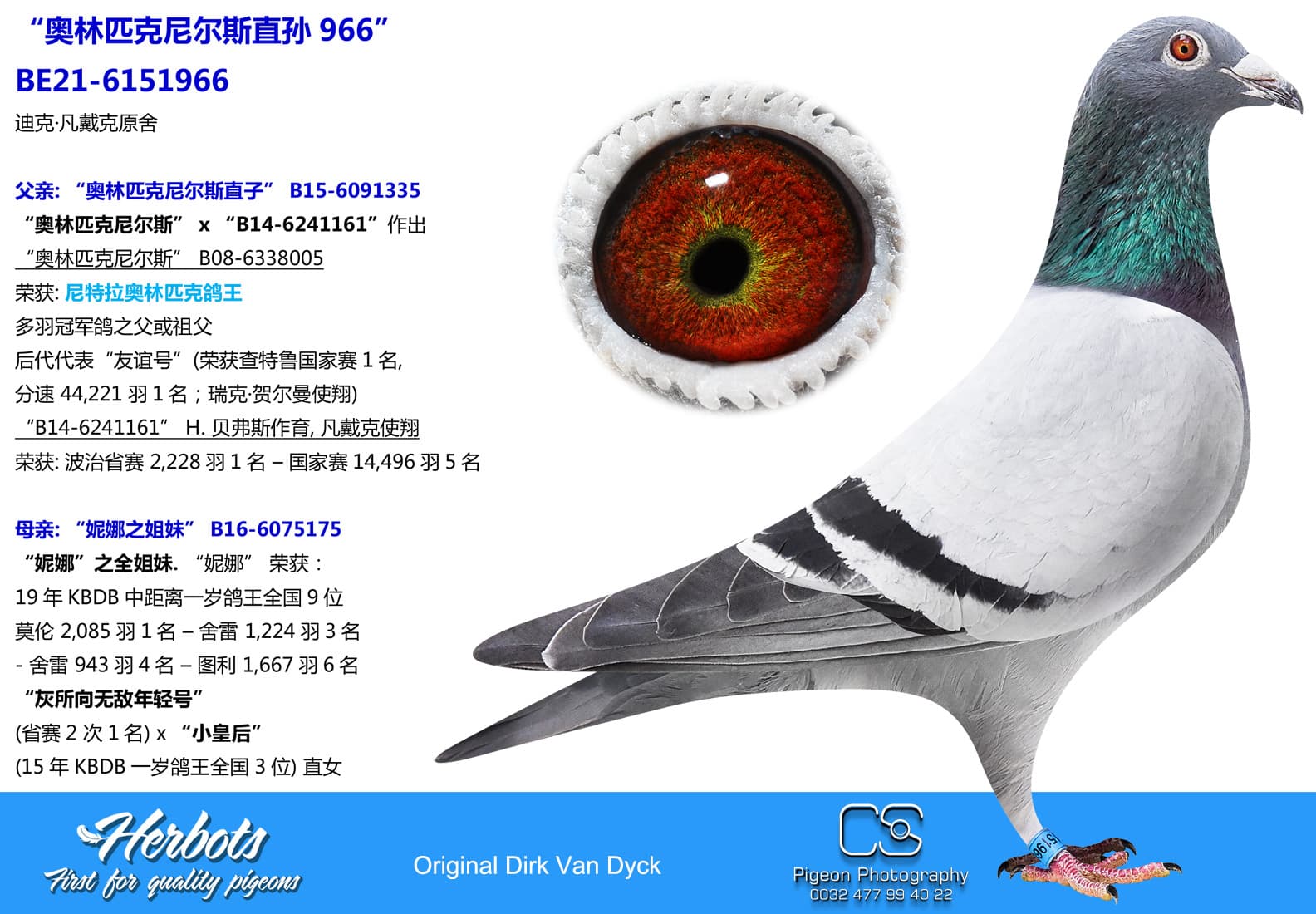 pigeon: “奥林匹克尼尔斯直孙966”