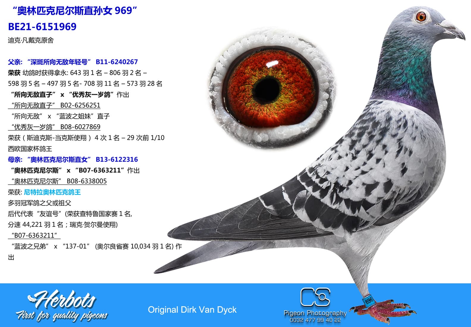 pigeon: “奥林匹克尼尔斯直孙女969”