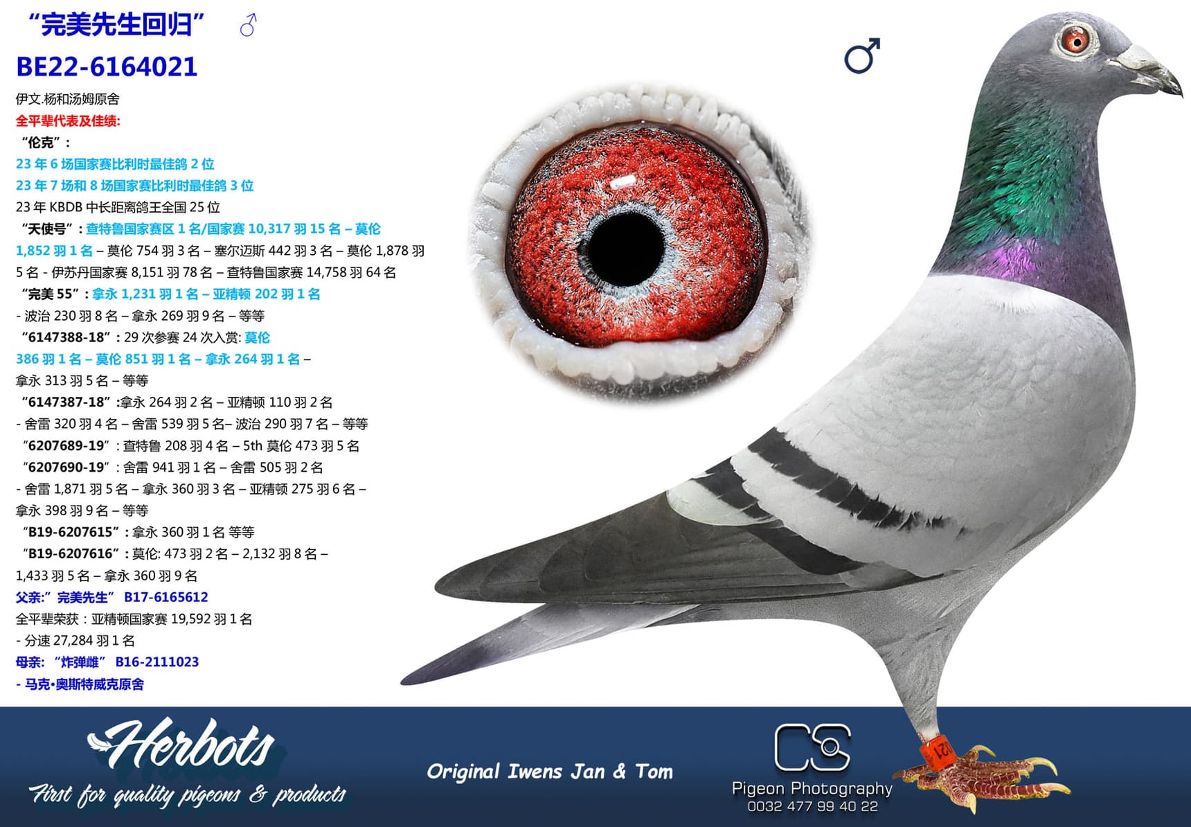 pigeon: undefined
