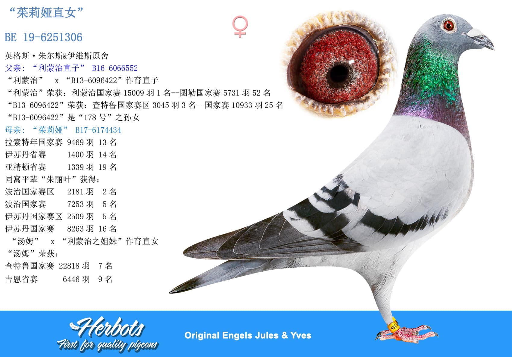pigeon: “茱莉娅直女”