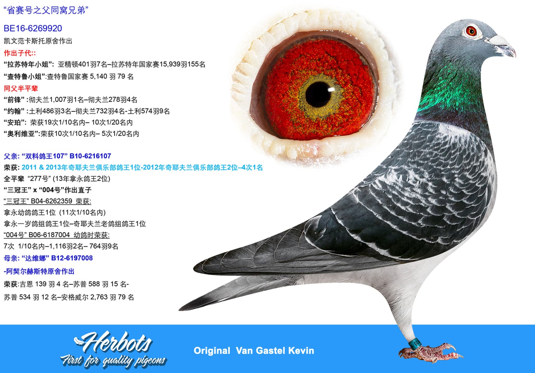 pigeon: undefined