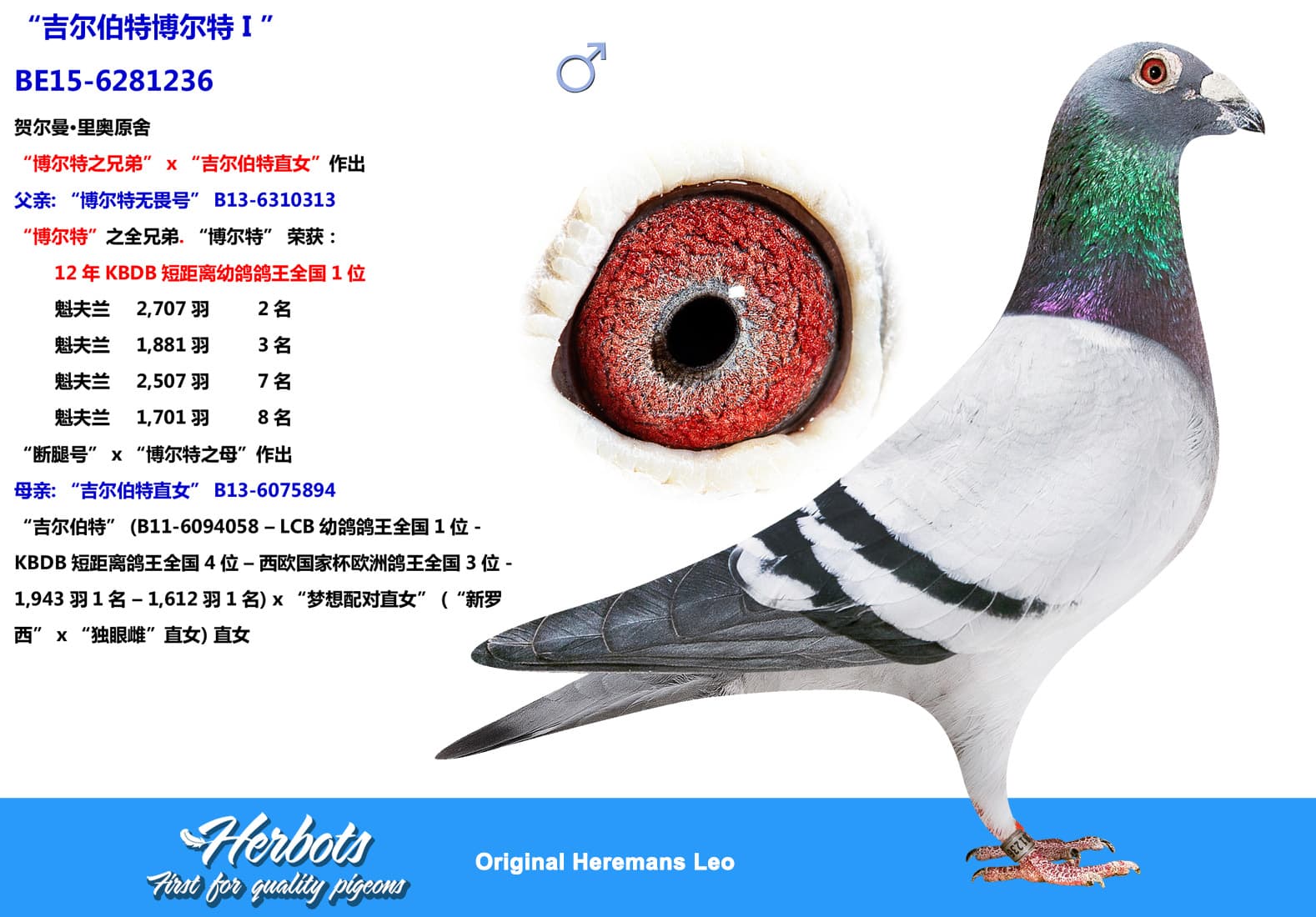 pigeon: undefined