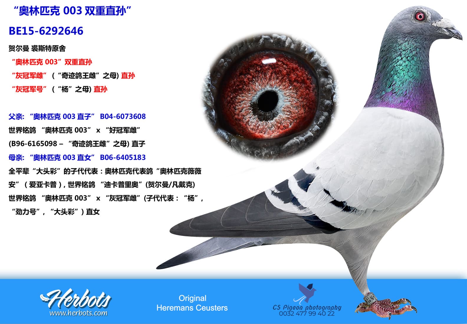 pigeon: undefined