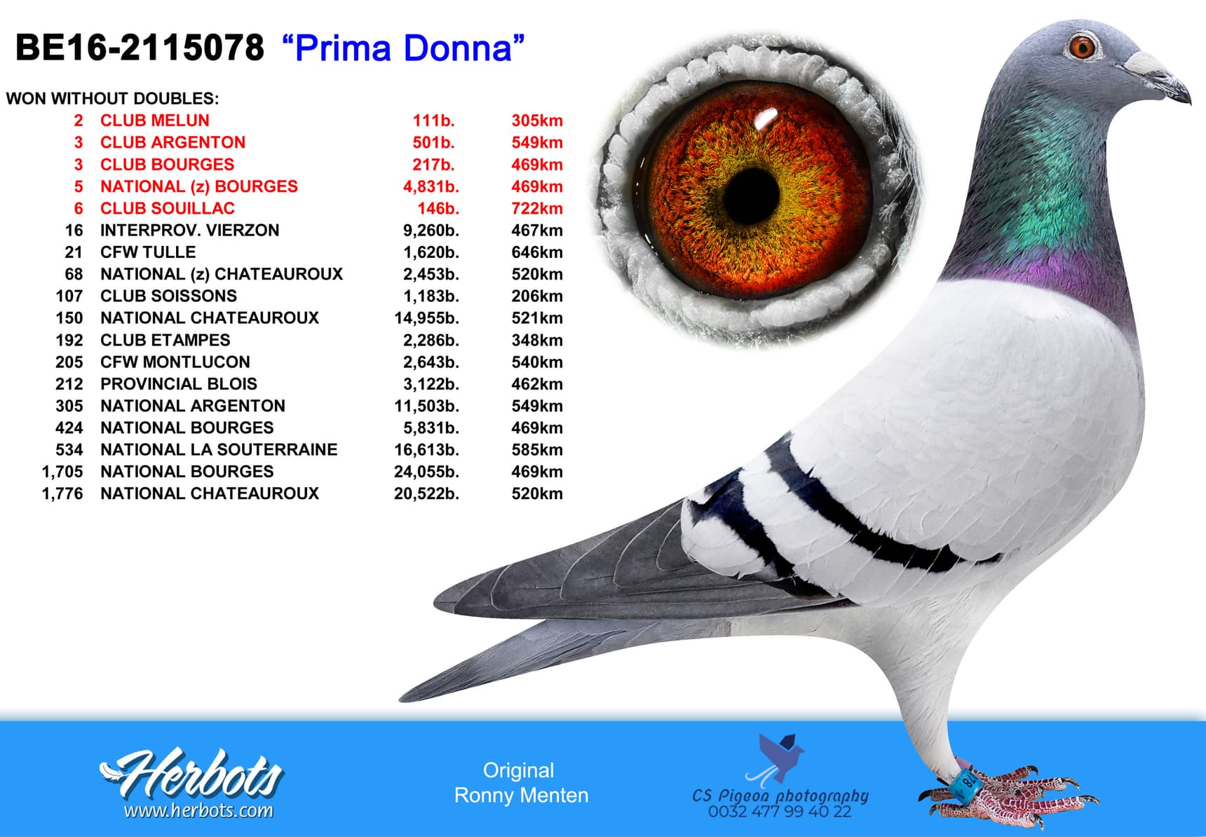 pigeon: undefined