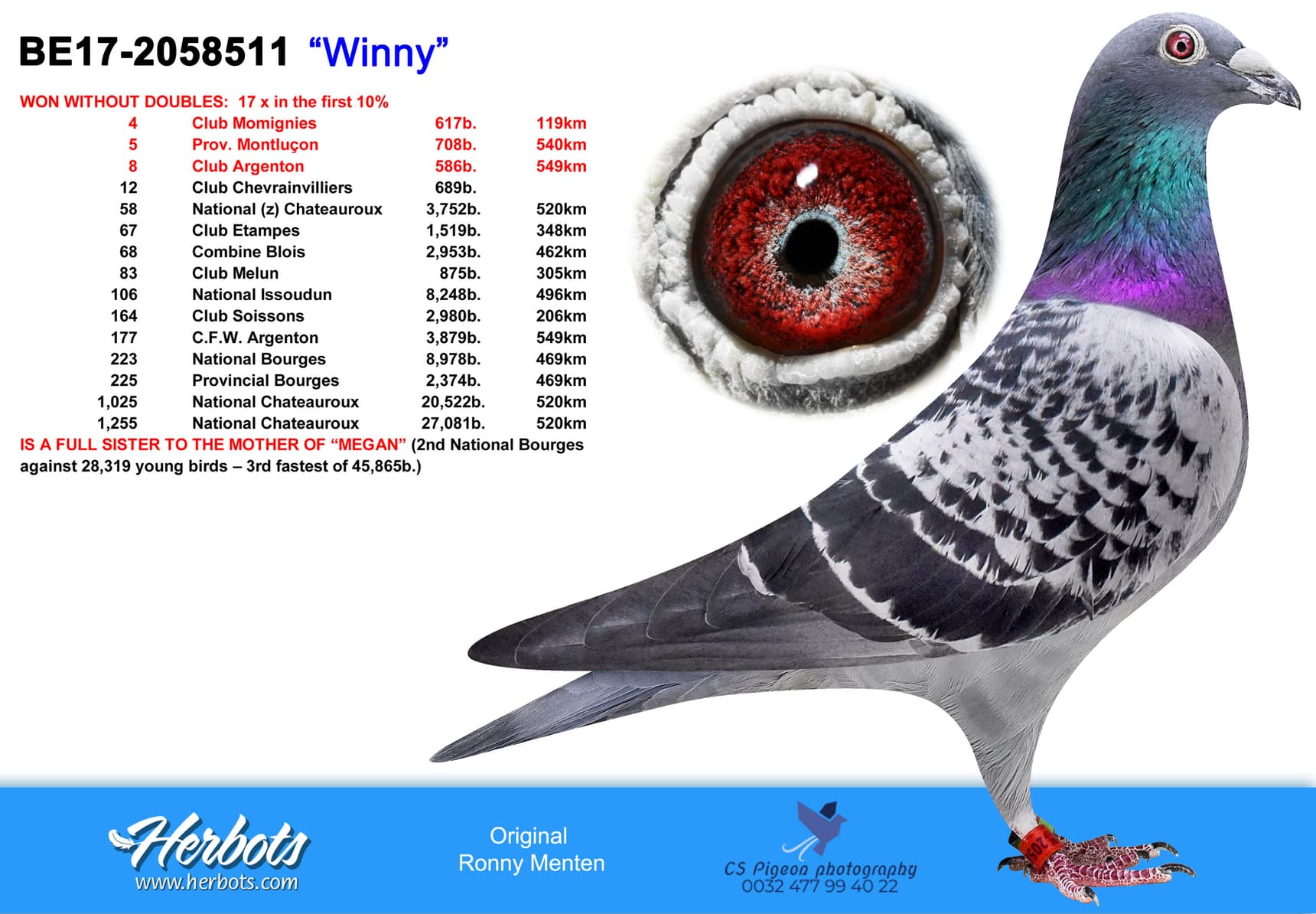 pigeon: undefined