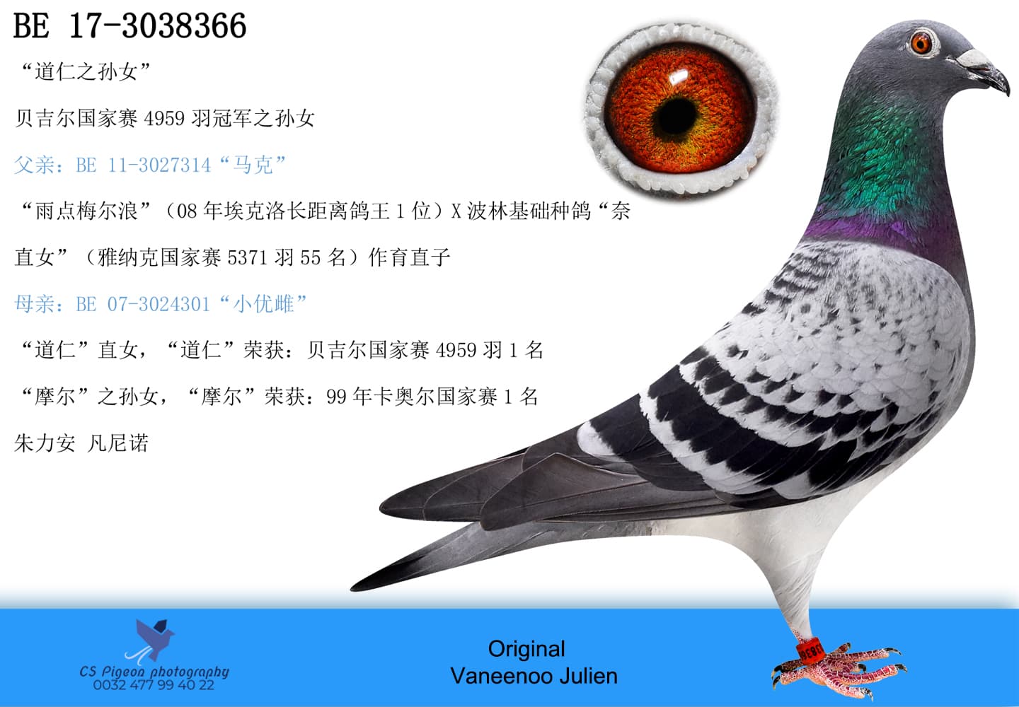 pigeon: undefined